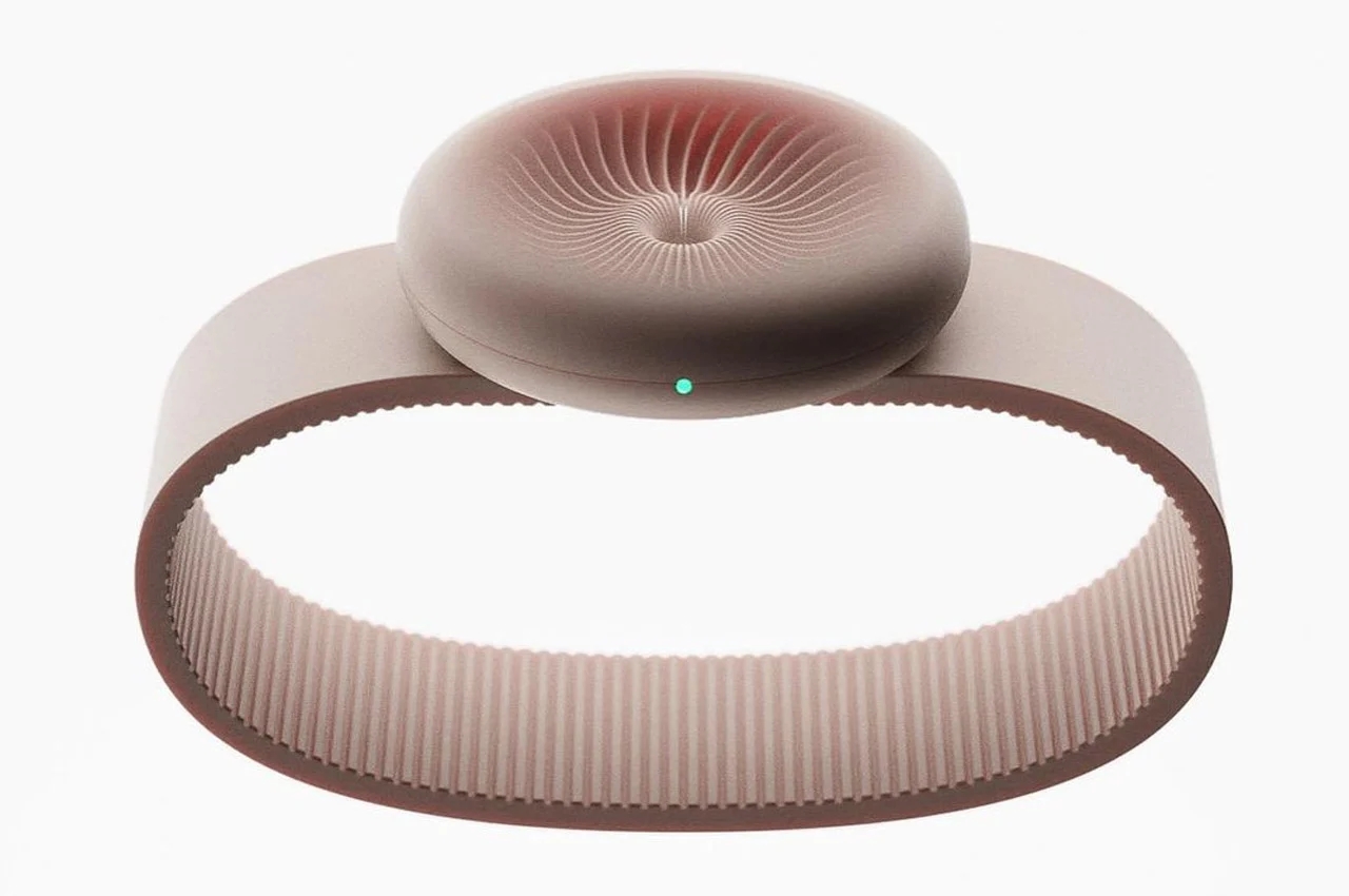 Momentum，Wrist watch，watch，