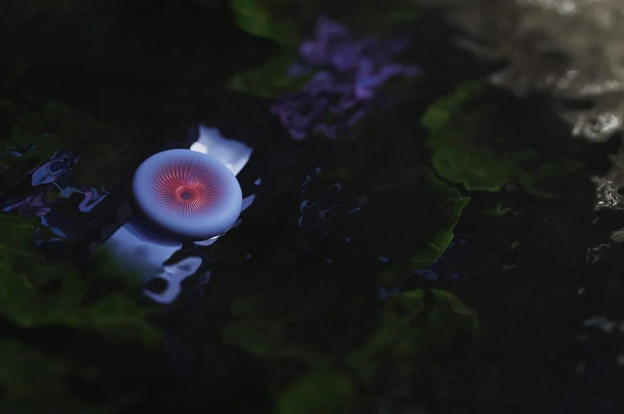 Momentum，Wrist watch，watch，