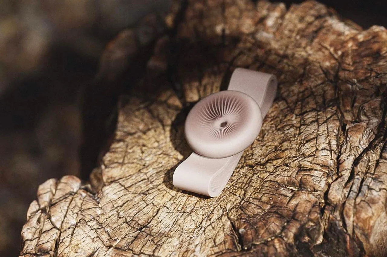 Momentum，Wrist watch，watch，