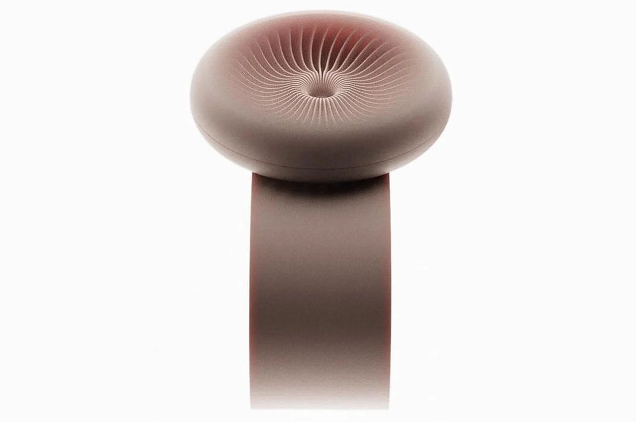 Momentum，Wrist watch，watch，