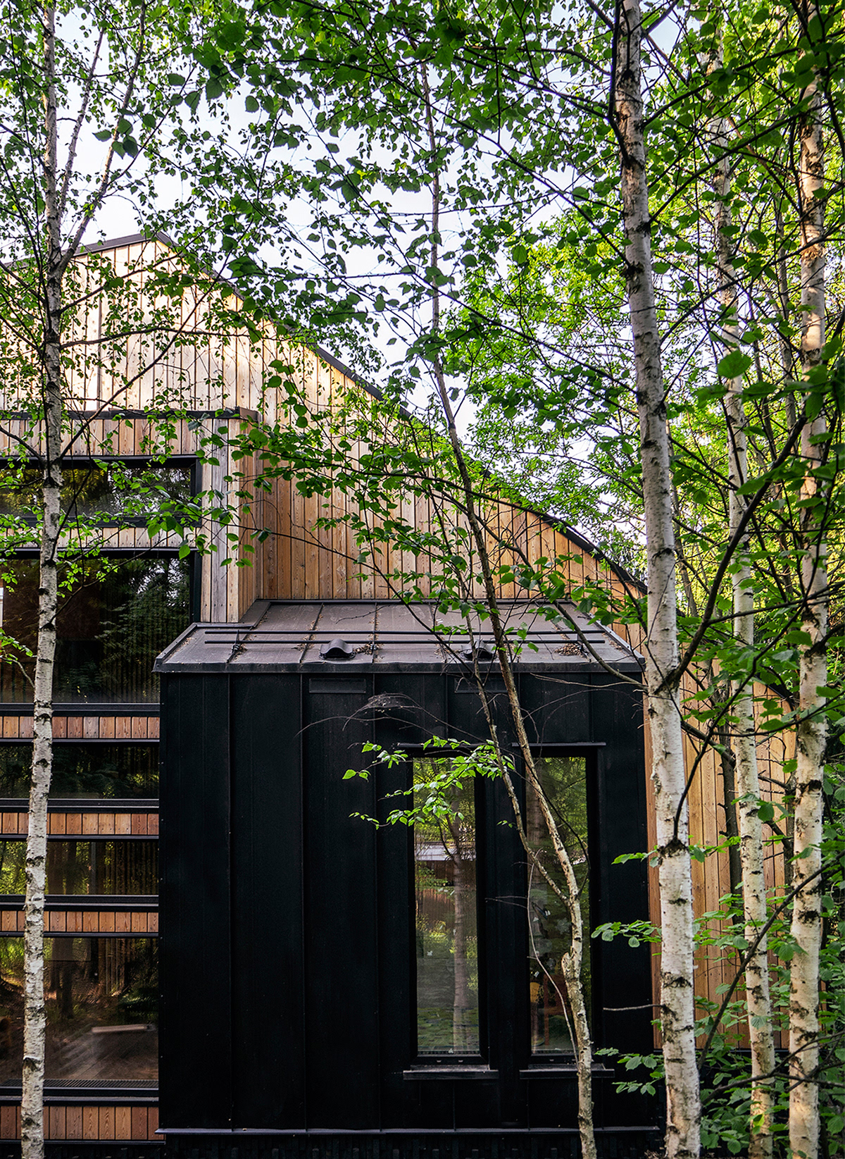 Interior design，prefabricated house，CLT，Minimalist，woodiness，Architecture，