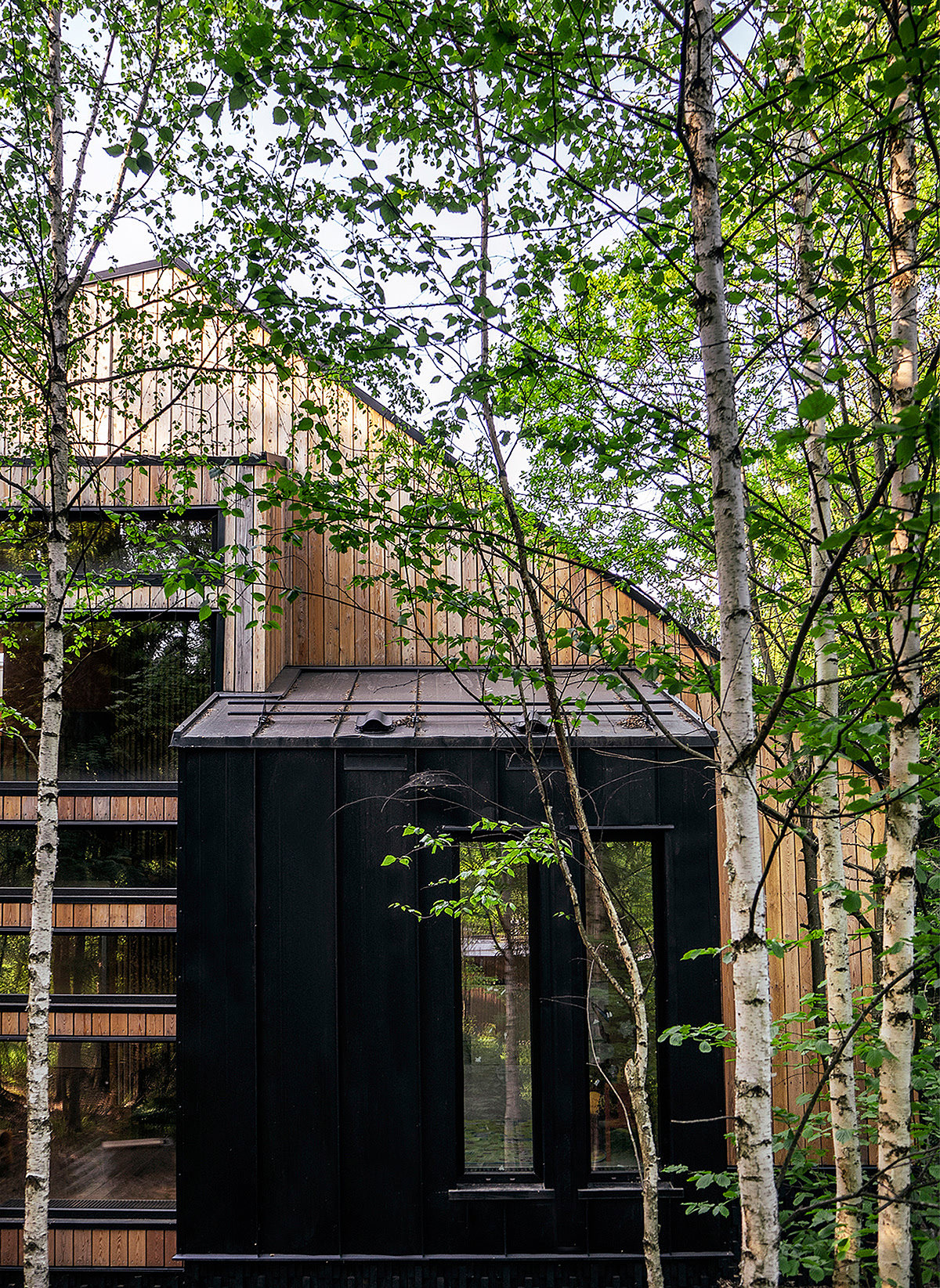 Interior design，prefabricated house，CLT，Minimalist，woodiness，Architecture，