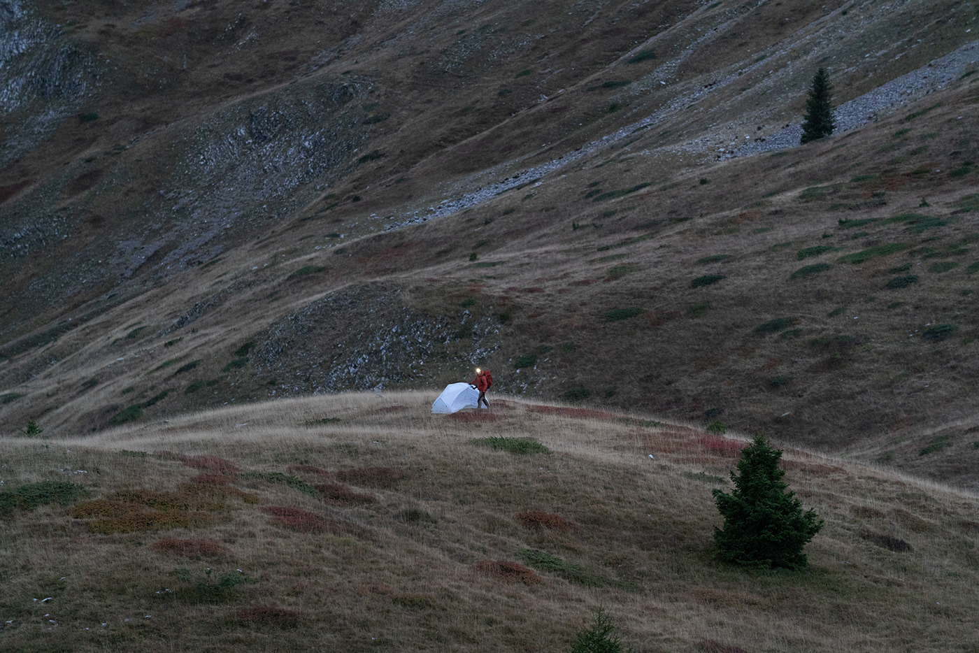 Tent，white，outdoors，Photography，
