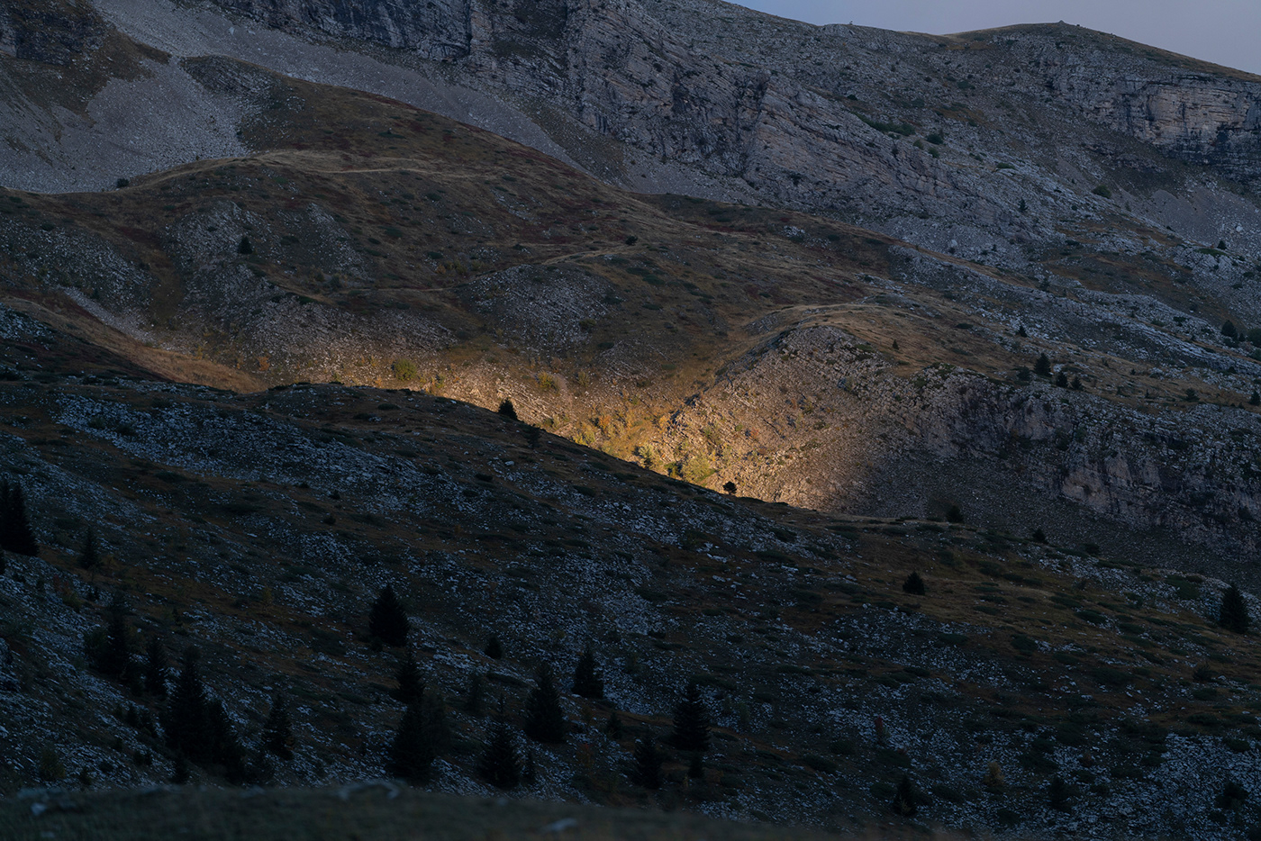 Tent，white，outdoors，Photography，