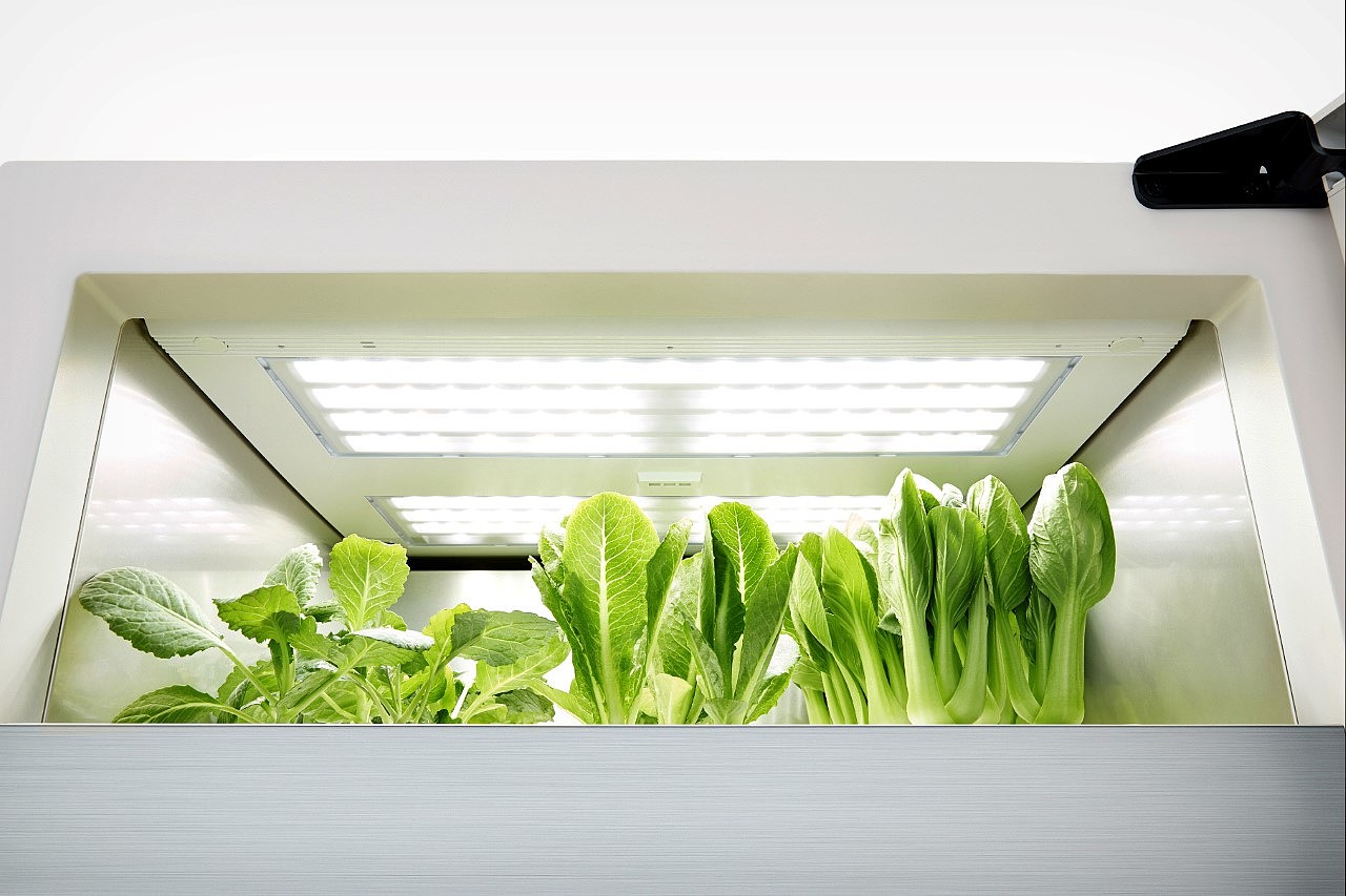 Botany，gardening，indoor，intelligence，