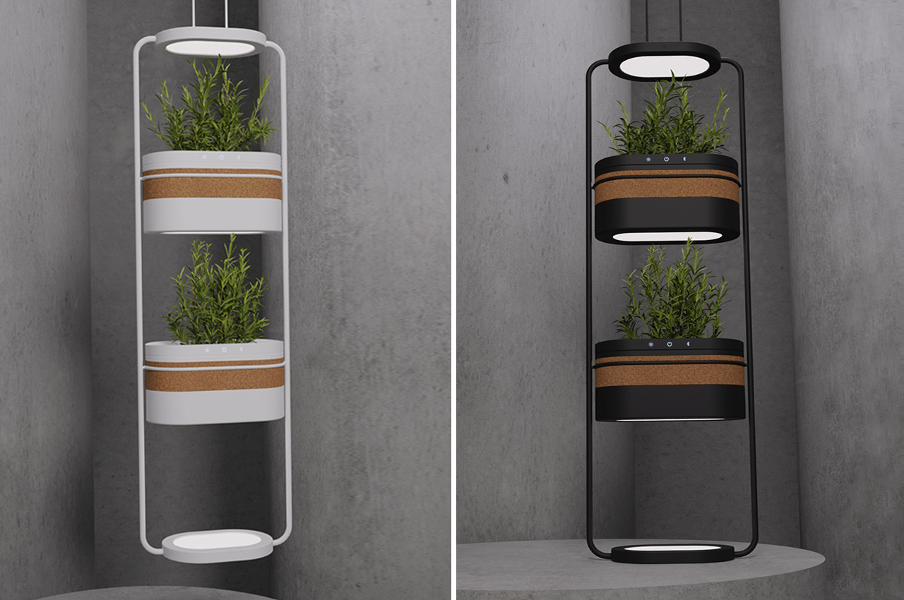 Botany，gardening，indoor，intelligence，