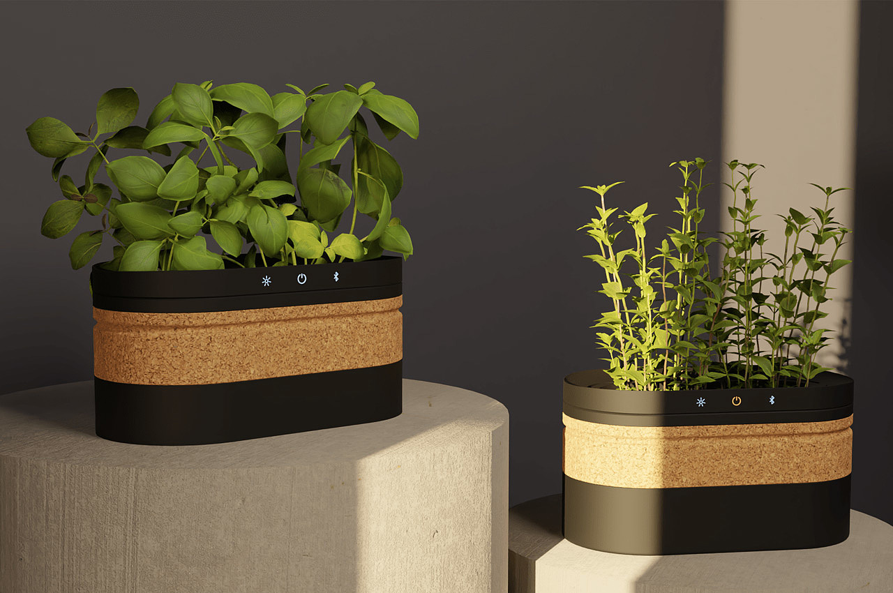 Botany，gardening，indoor，intelligence，