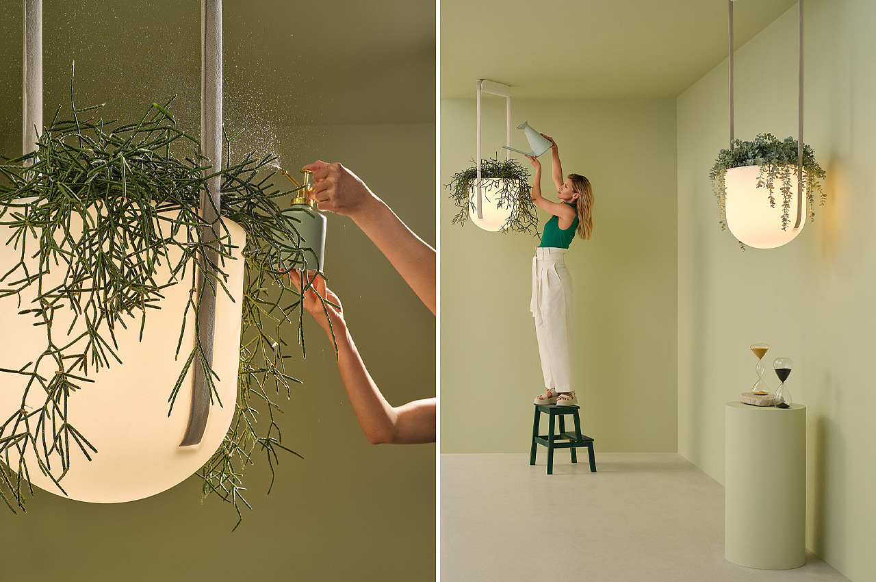 Botany，gardening，indoor，intelligence，