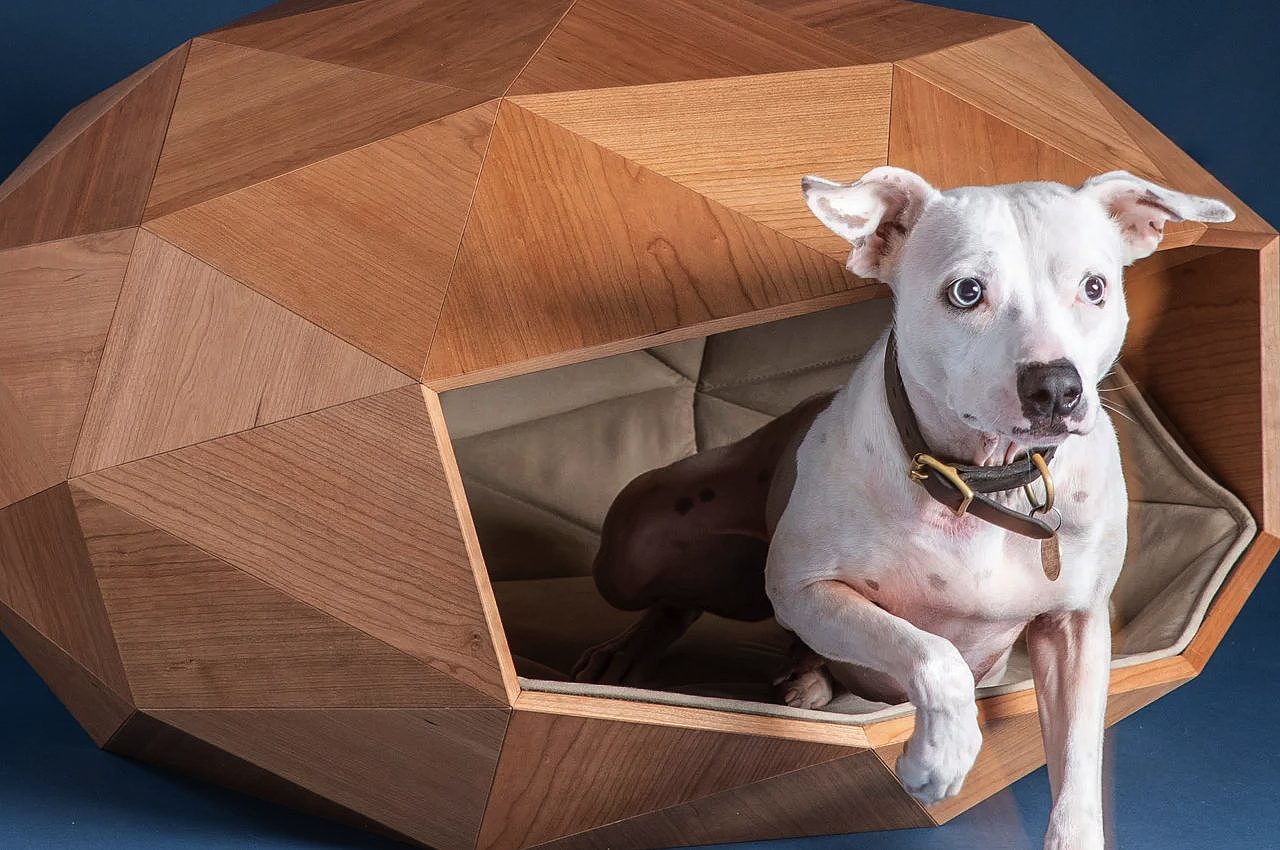 kennel，kennel，Pet Supplies & Pet，FOSTER PARTNERS，