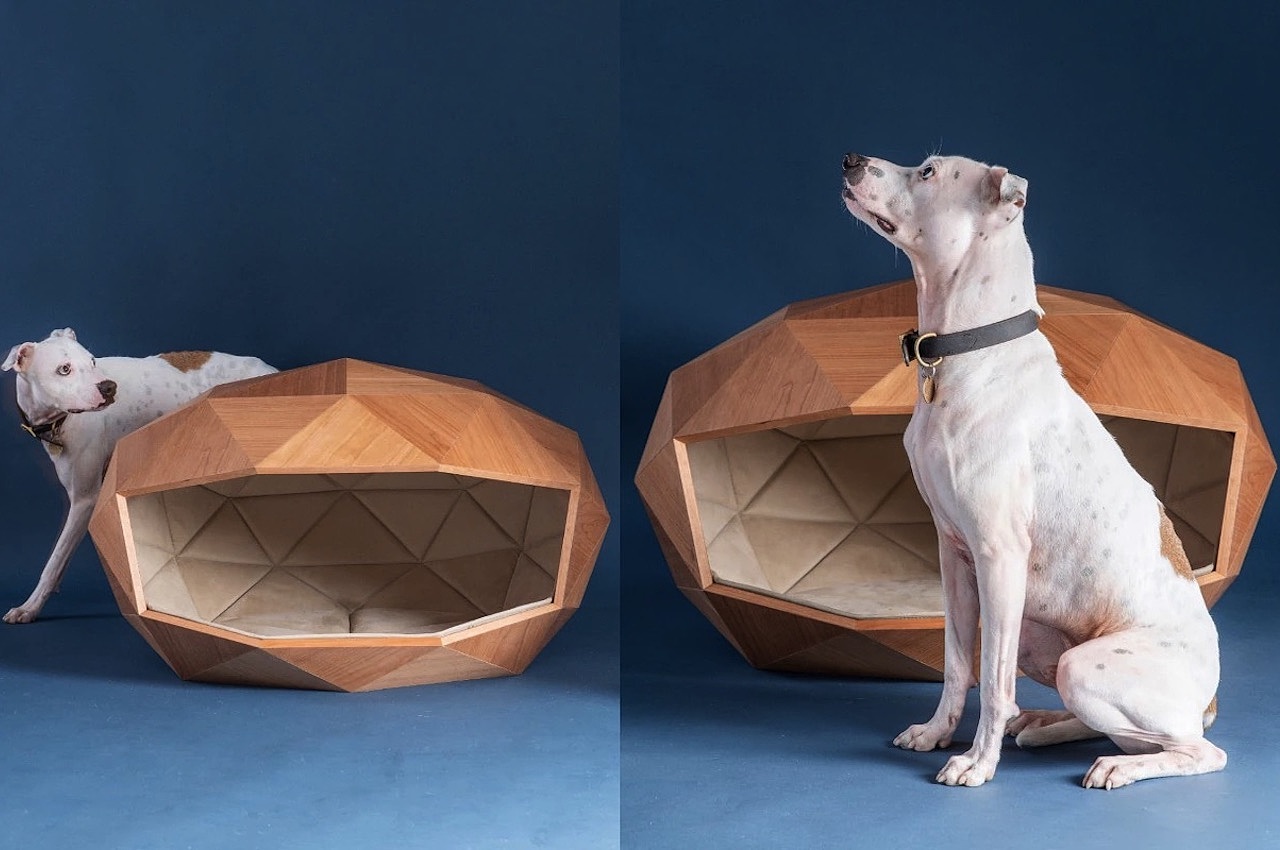 kennel，kennel，Pet Supplies & Pet，FOSTER PARTNERS，