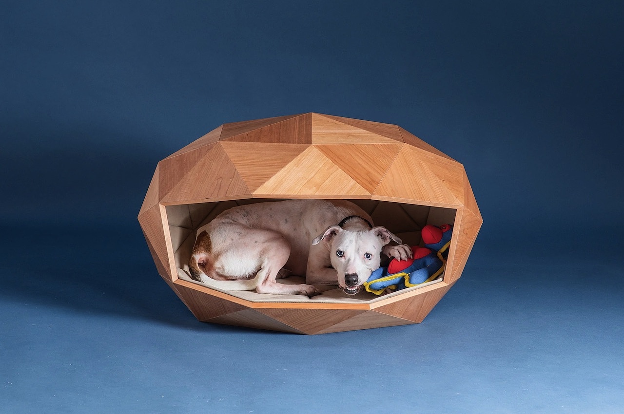 kennel，kennel，Pet Supplies & Pet，FOSTER PARTNERS，