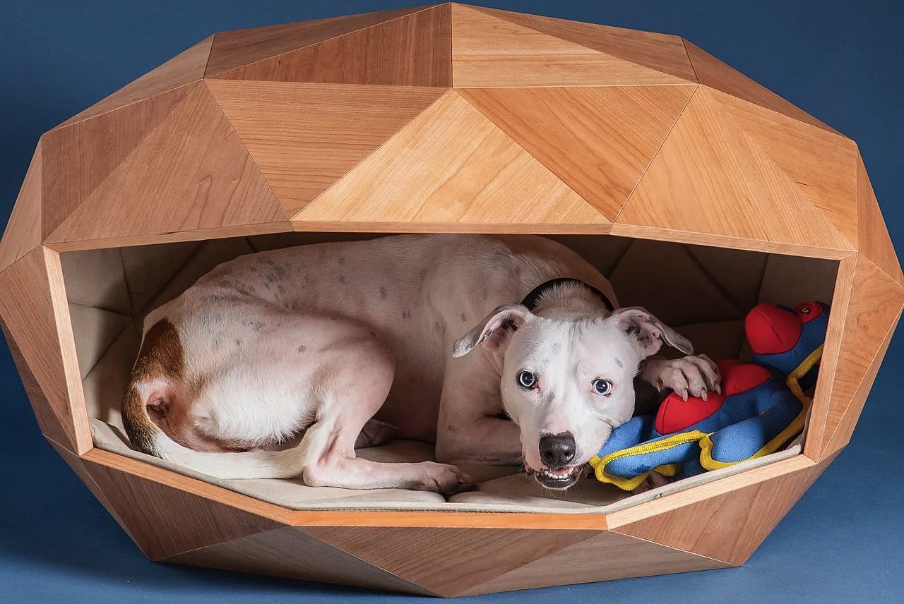 kennel，kennel，Pet Supplies & Pet，FOSTER PARTNERS，