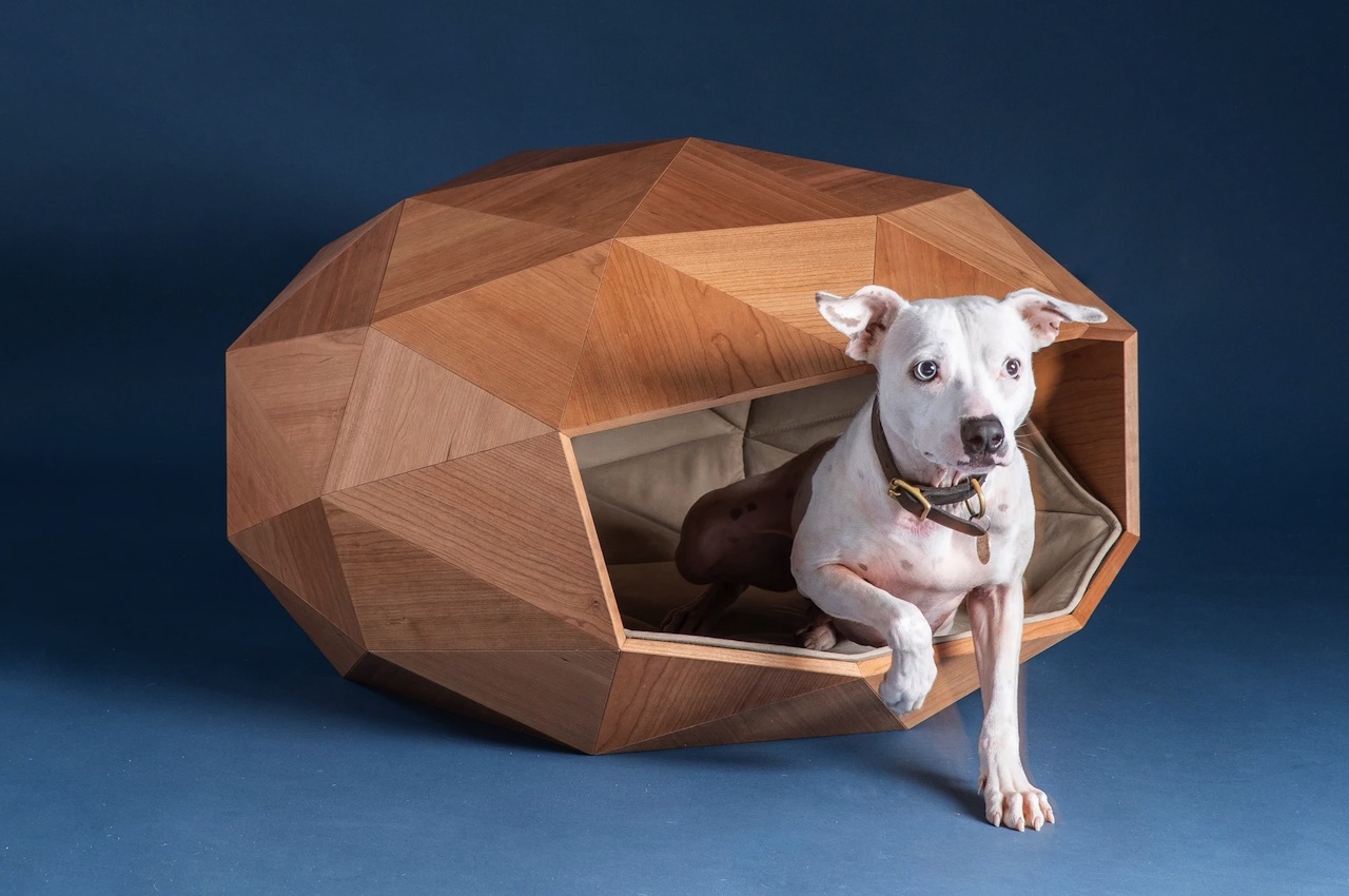 kennel，kennel，Pet Supplies & Pet，FOSTER PARTNERS，