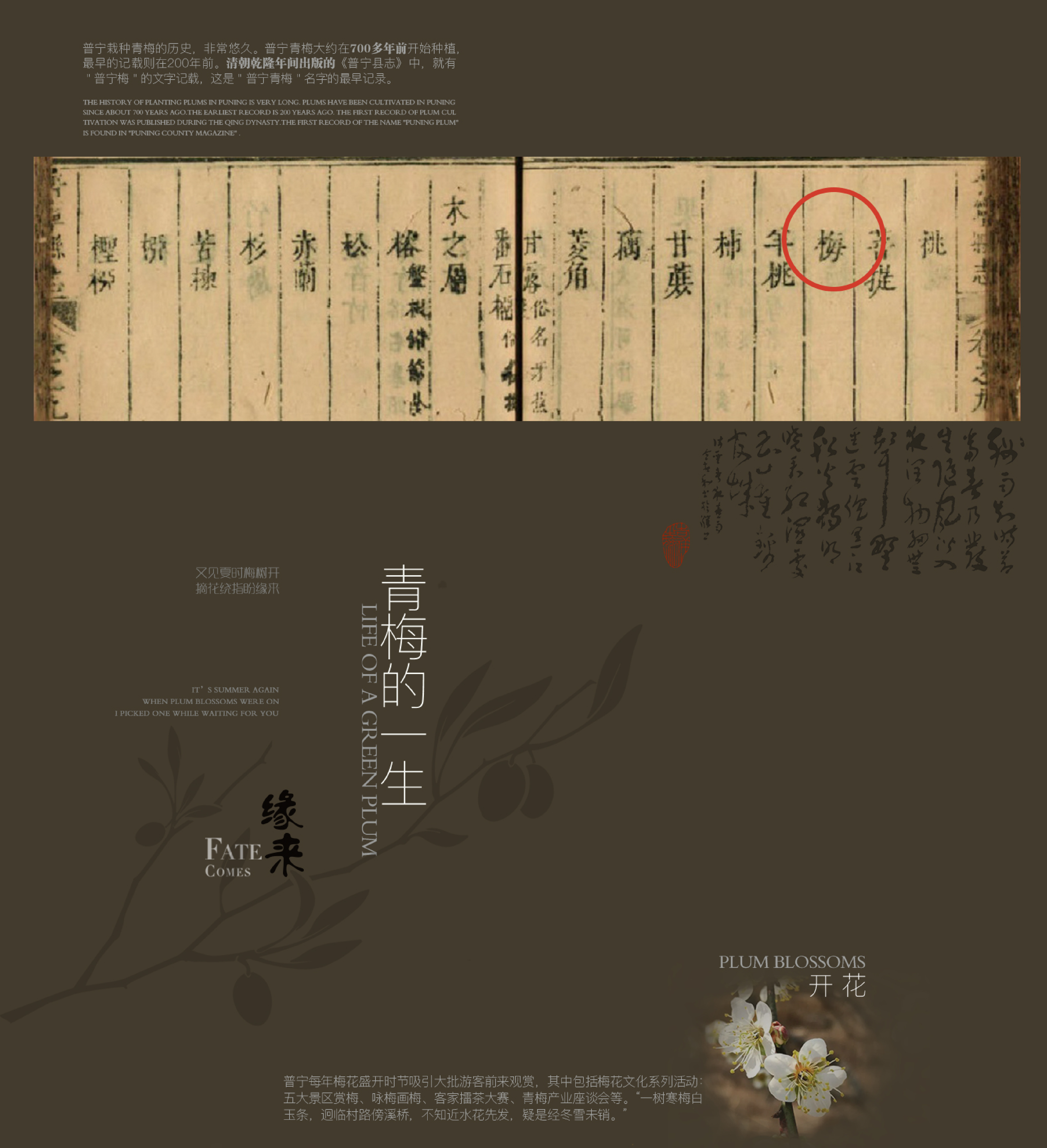 packing design，3D design，Drink，Render，Green plum wine，Bottle type and bottle label，Bottle logo design，