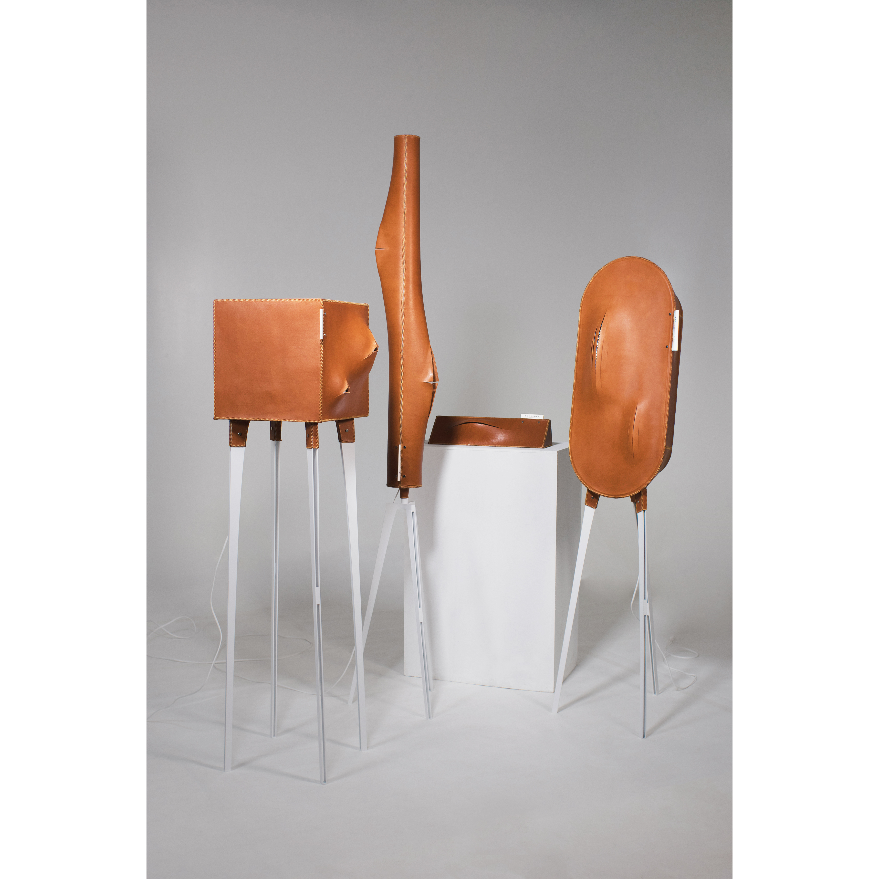 Speculative design, criticism, consumerism, graduation design, products，