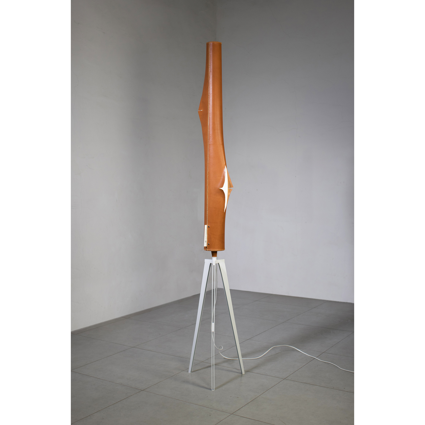 Speculative design, criticism, consumerism, graduation design, products，