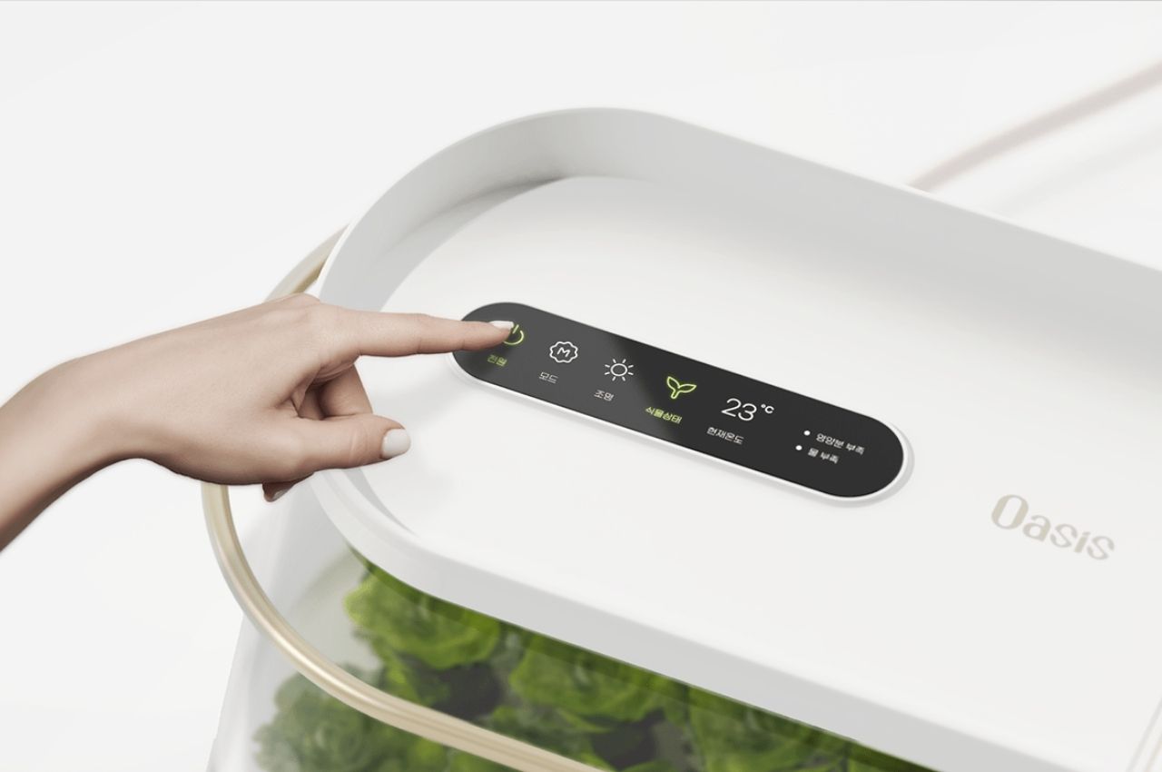 concept，Hydroponic planter，Hydroponics，Indoor vegetable garden，