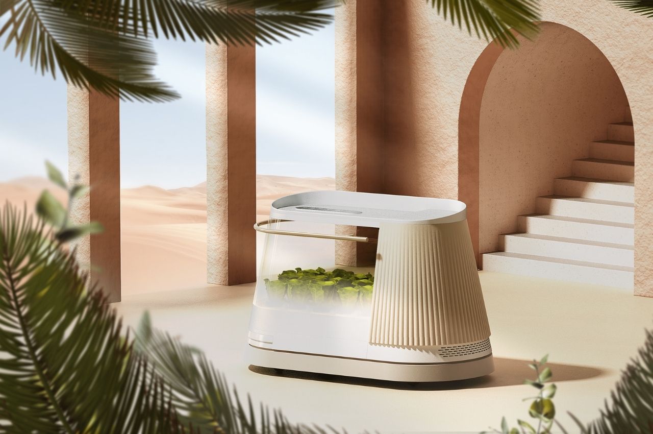 concept，Hydroponic planter，Hydroponics，Indoor vegetable garden，