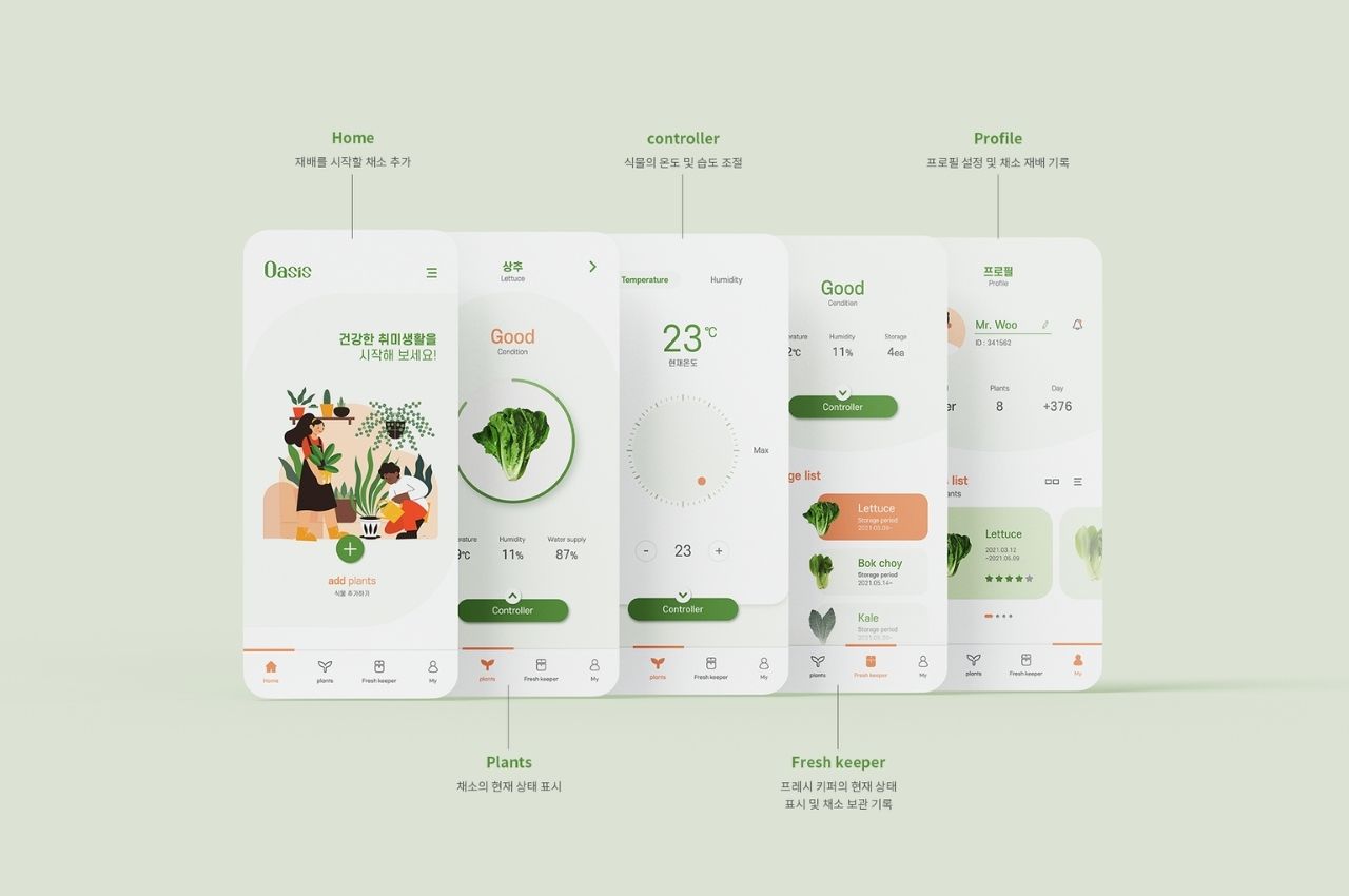 concept，Hydroponic planter，Hydroponics，Indoor vegetable garden，