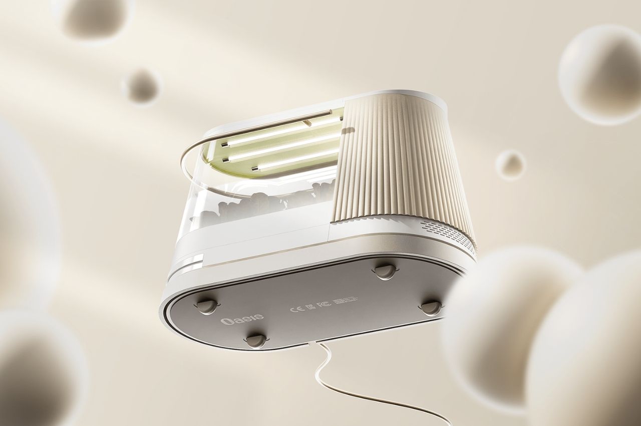 concept，Hydroponic planter，Hydroponics，Indoor vegetable garden，