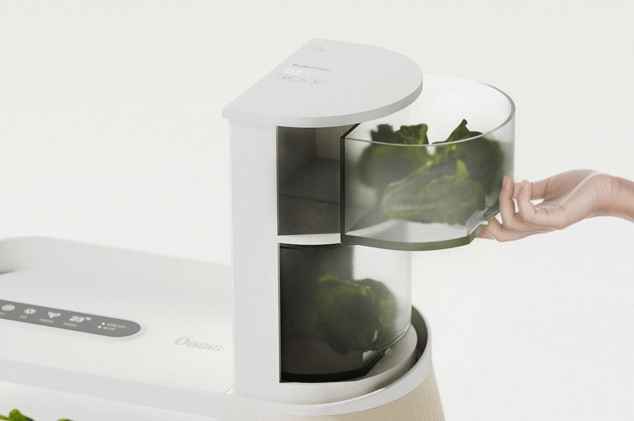 concept，Hydroponic planter，Hydroponics，Indoor vegetable garden，