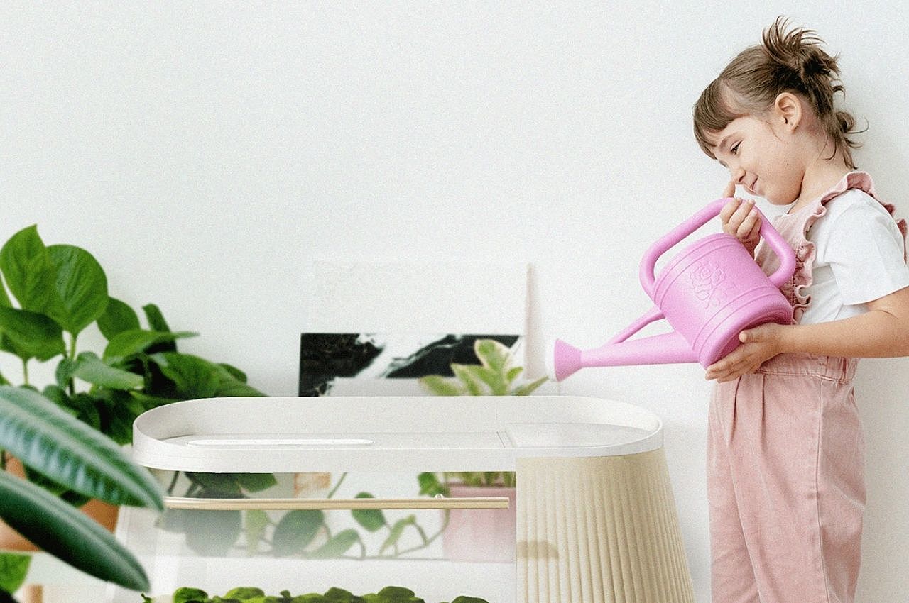 concept，Hydroponic planter，Hydroponics，Indoor vegetable garden，
