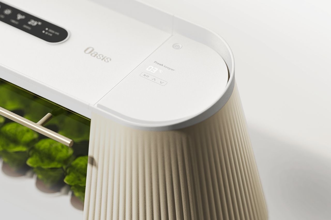 concept，Hydroponic planter，Hydroponics，Indoor vegetable garden，