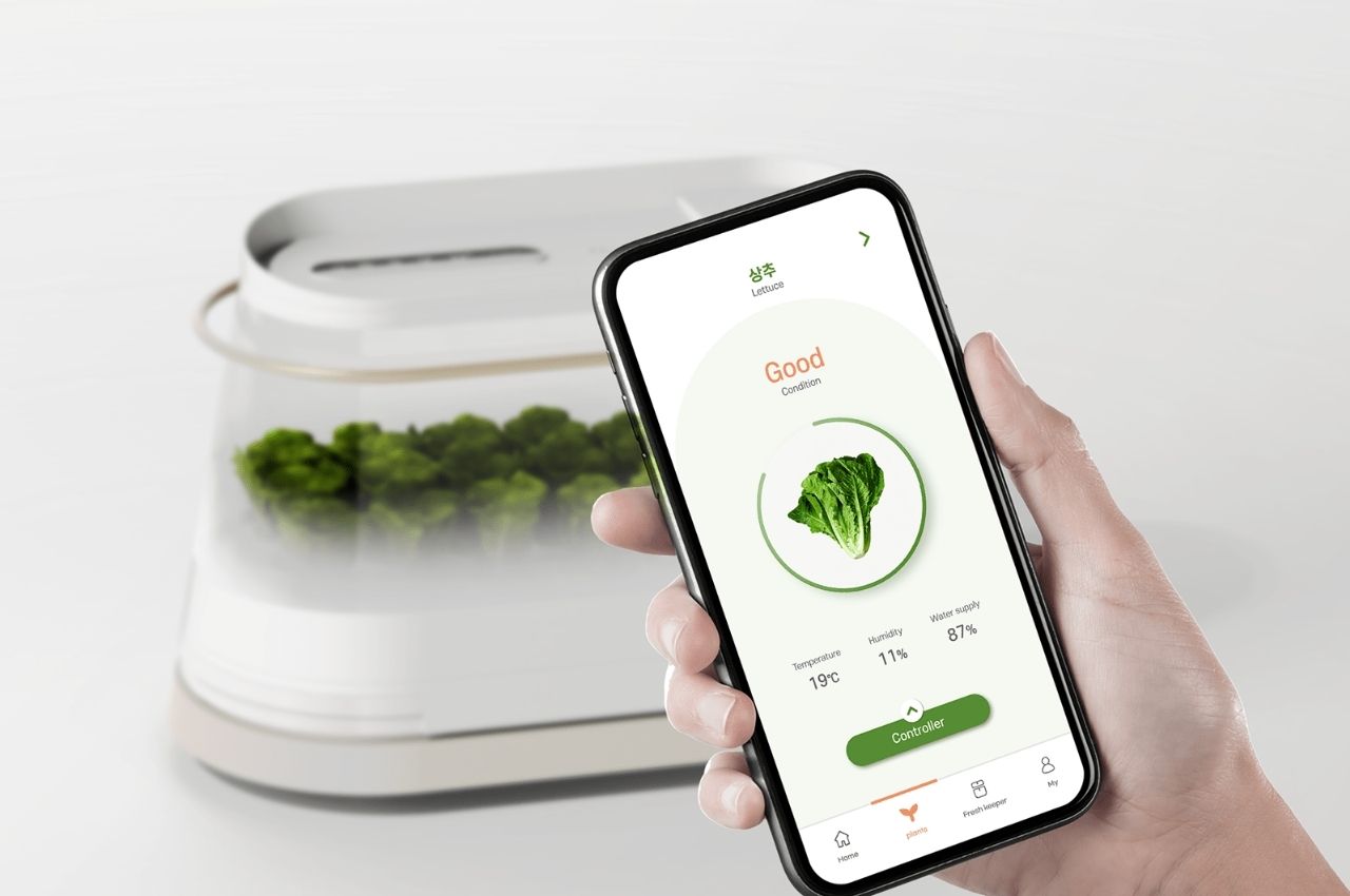 concept，Hydroponic planter，Hydroponics，Indoor vegetable garden，