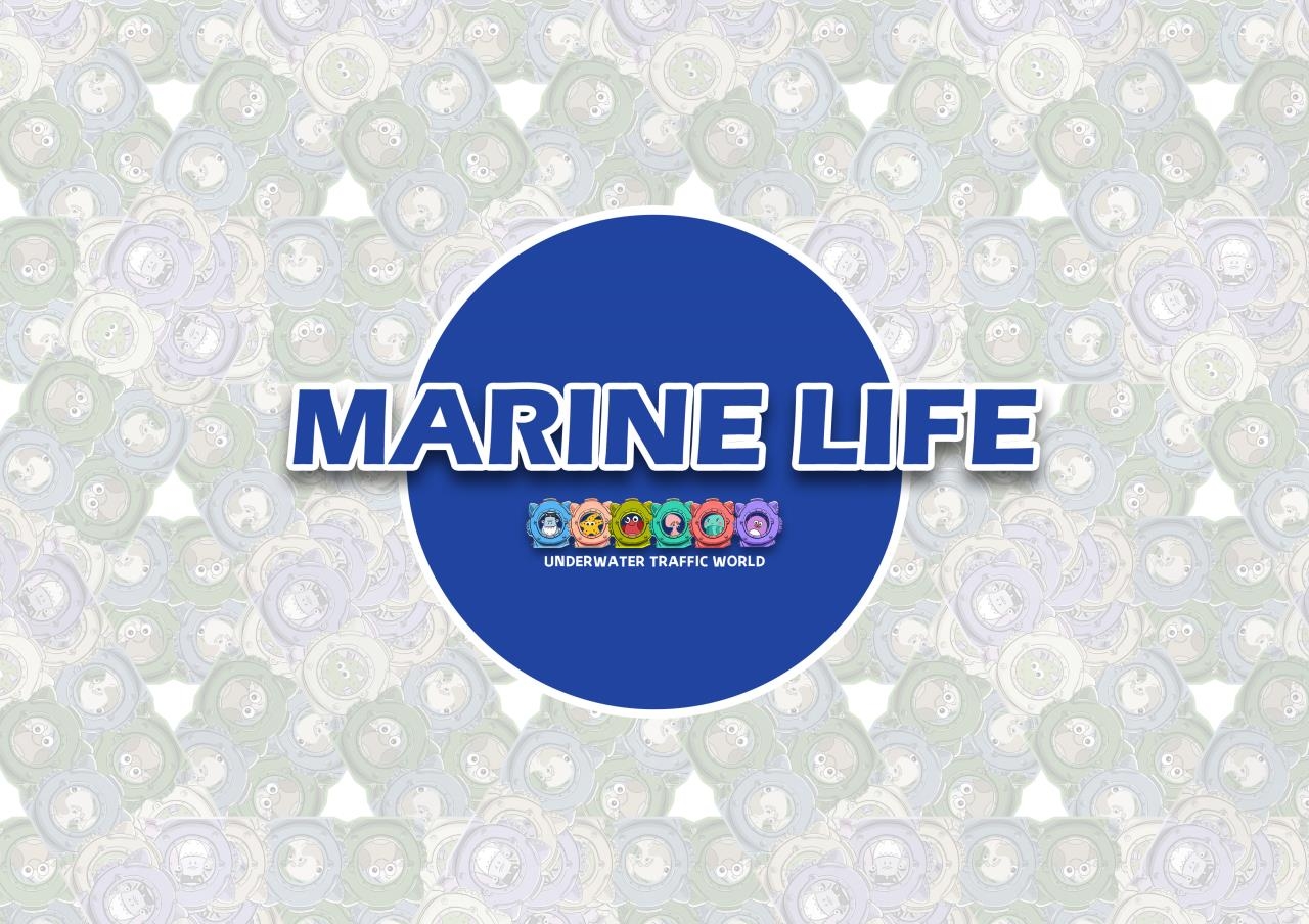 IP design, cultural creativity，