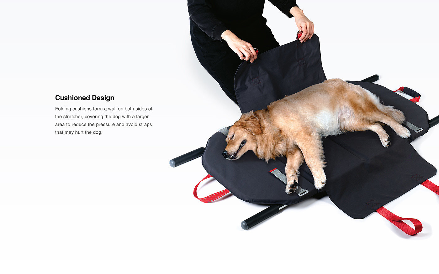 stretcher，Pets，dog，Stretcher design，