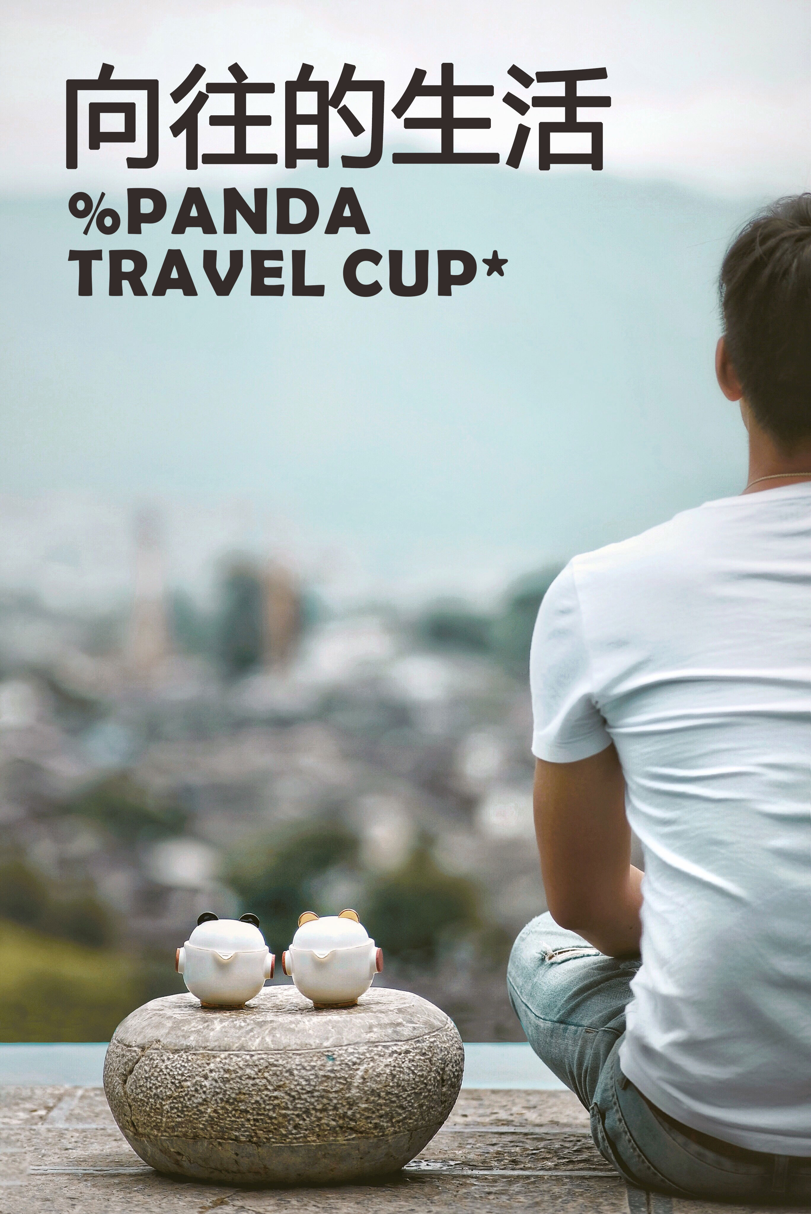 charcot ，Guge Dynasty，Cultural creation，panda，packing design，