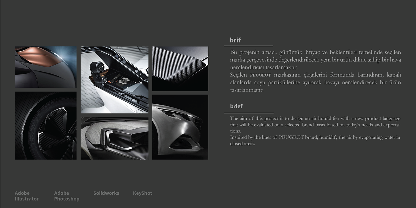 Humidifier，peugeot，France，Merve kuvvet，