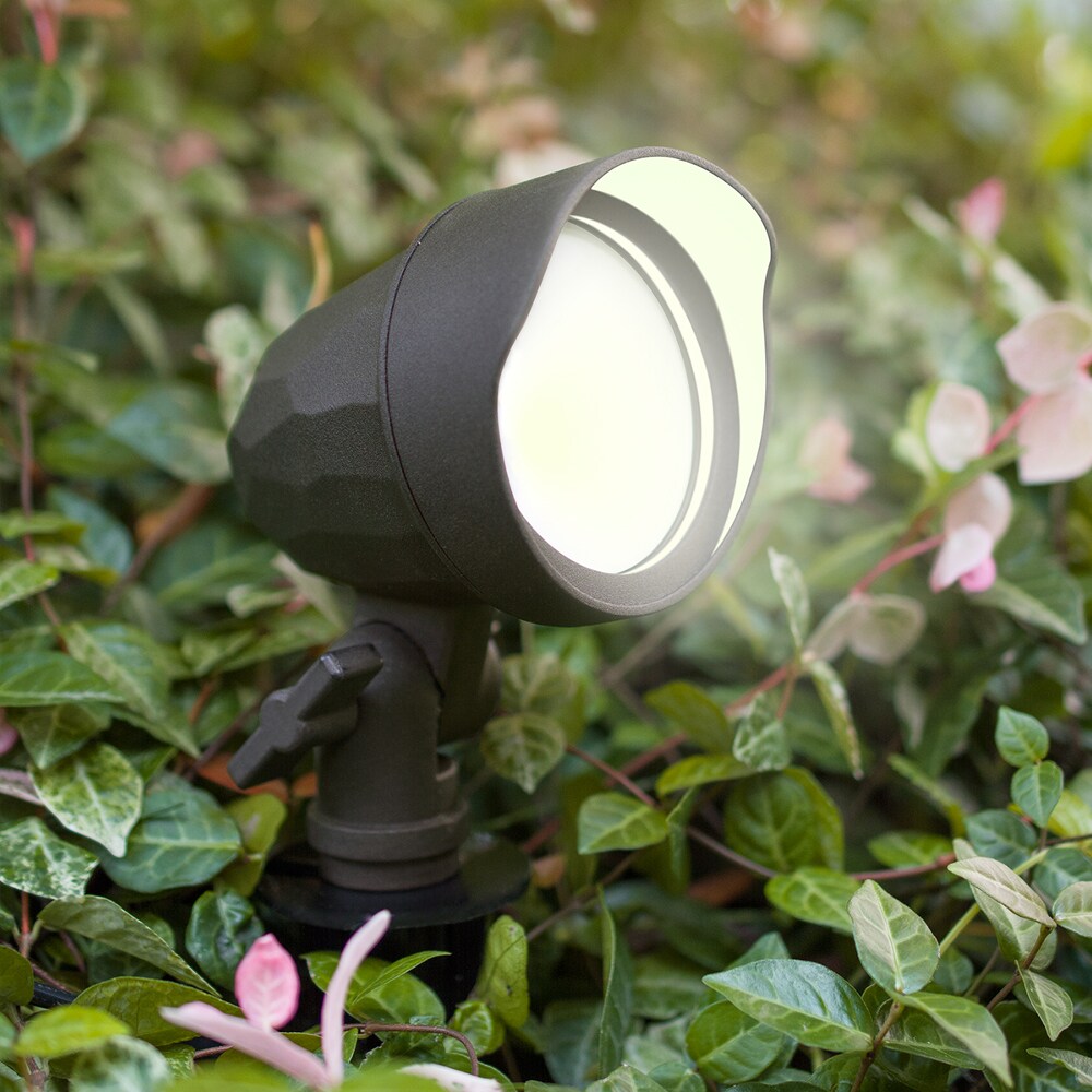 lamps and lanterns，