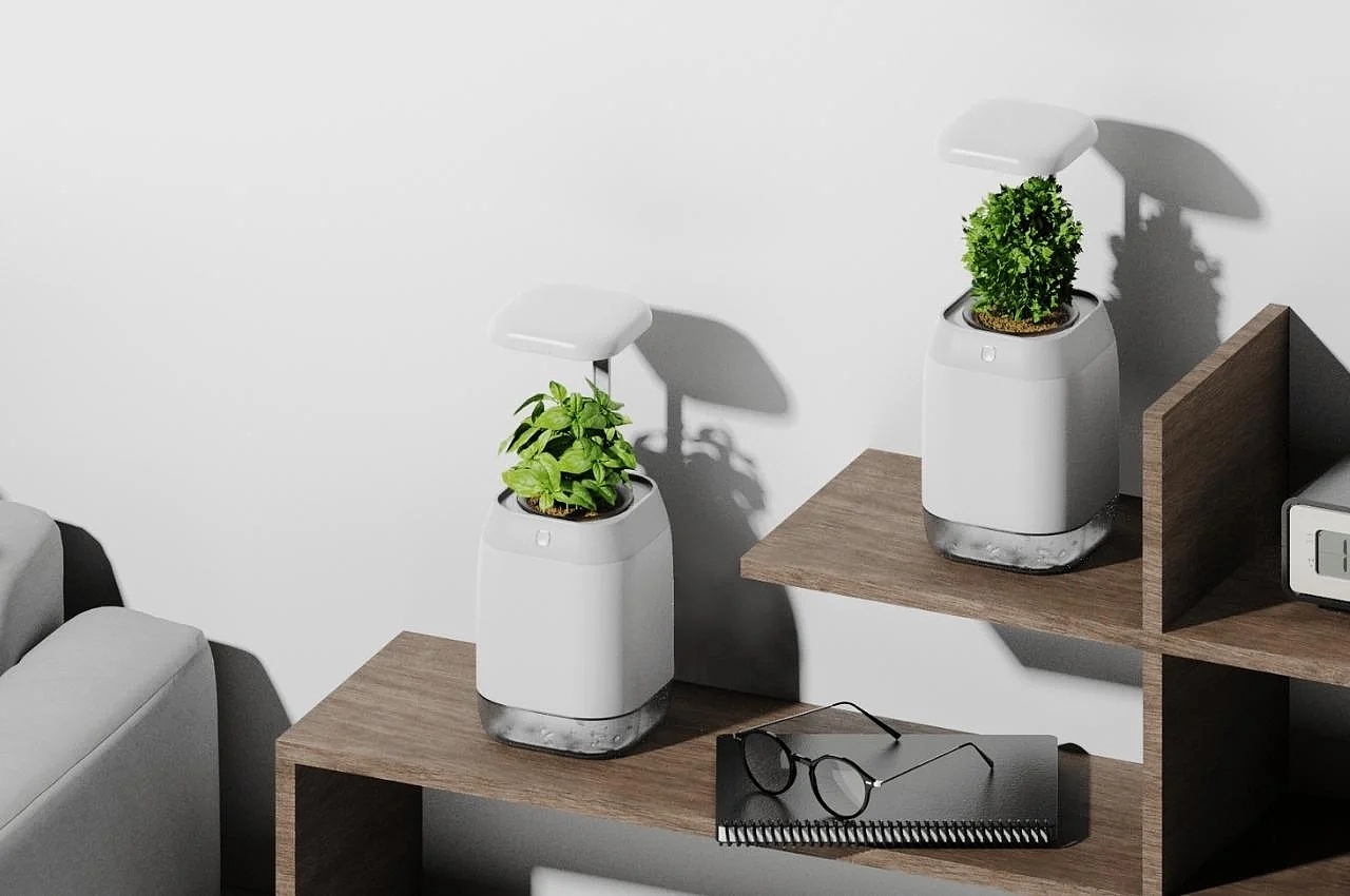 PLANT-GROWING，device，植物生长装置，绿植，