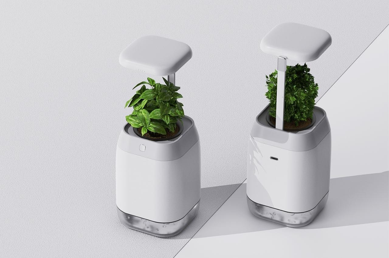 PLANT-GROWING，device，植物生长装置，绿植，