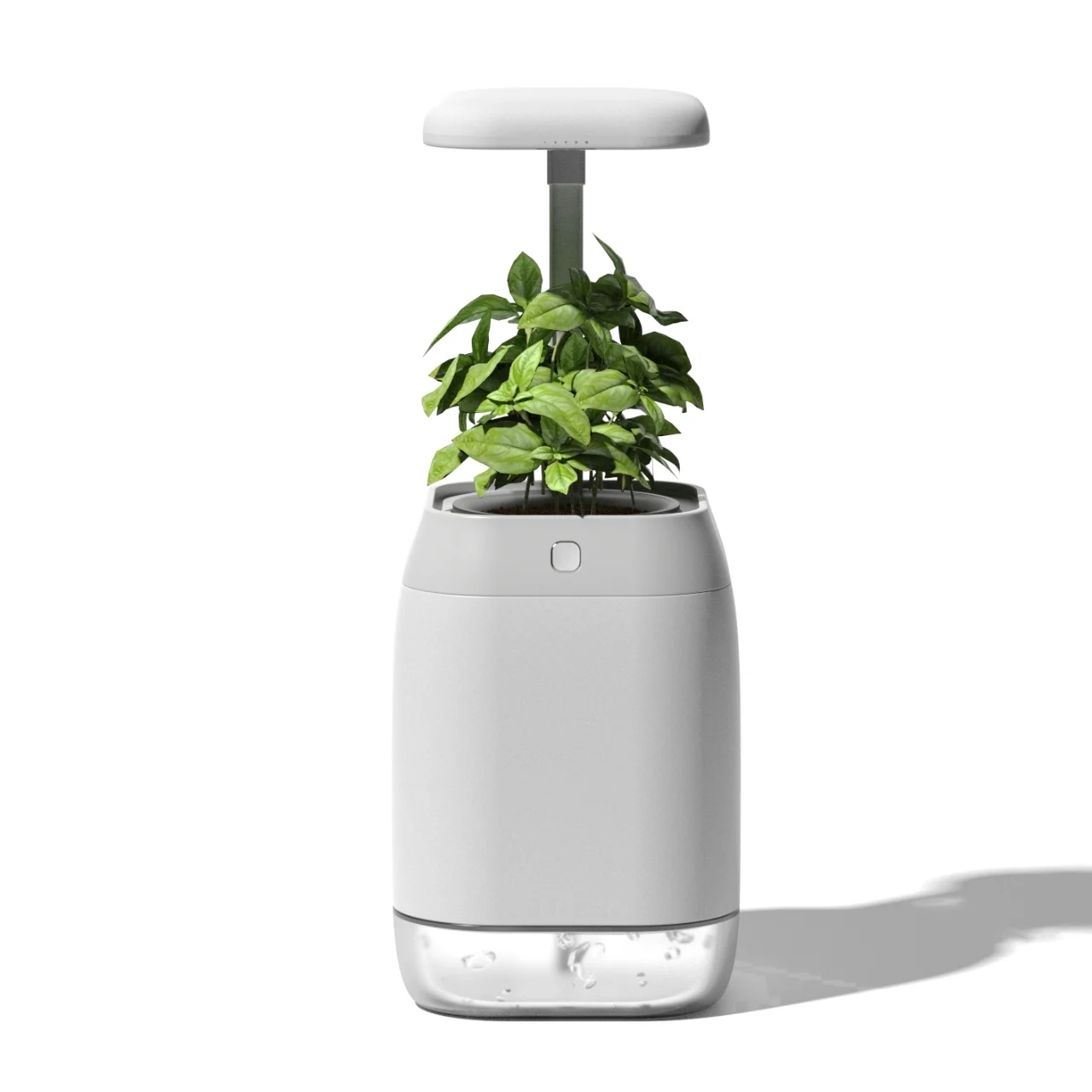 PLANT-GROWING，device，Plant growth device，Green plant，