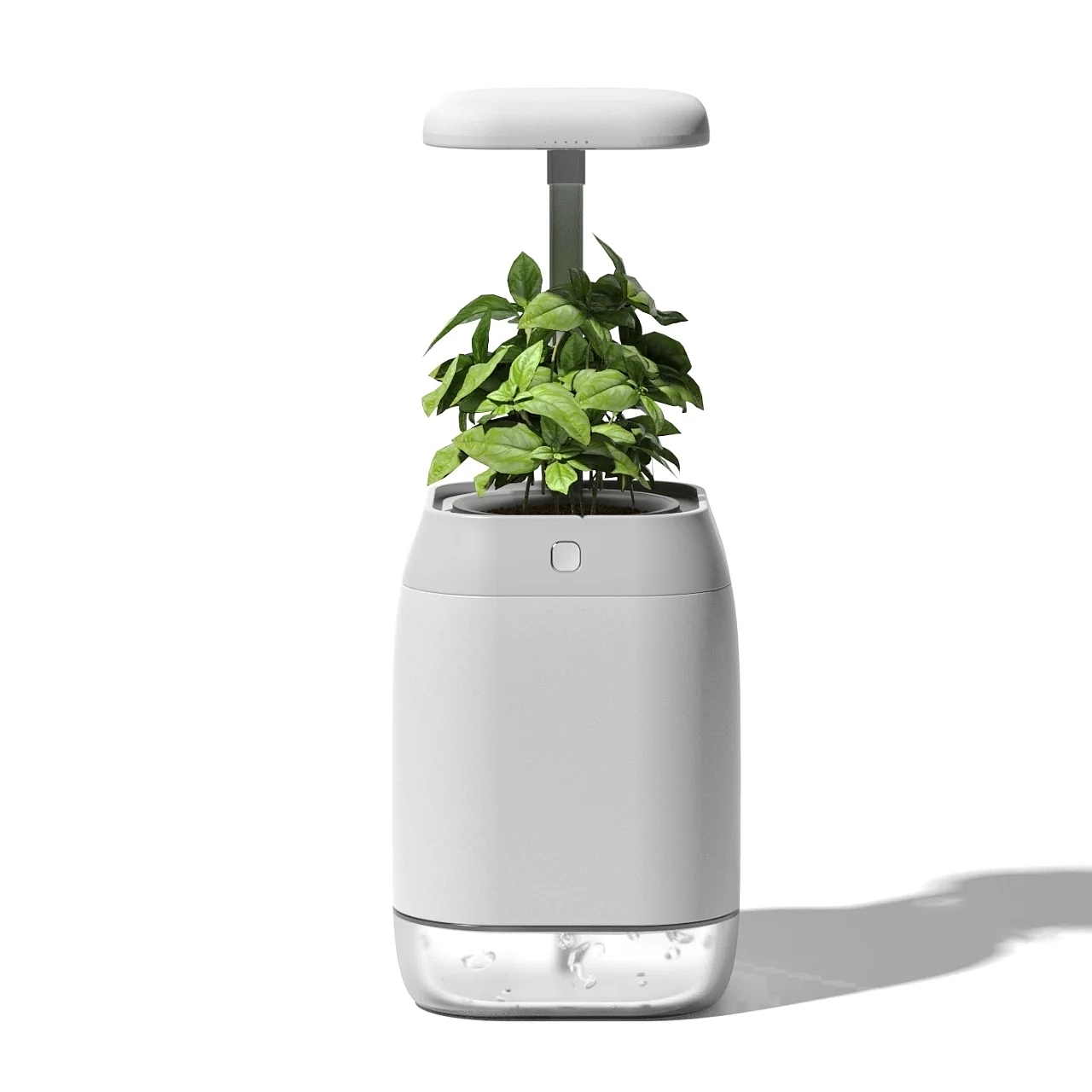 PLANT-GROWING，device，植物生长装置，绿植，