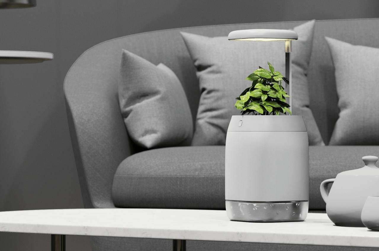 PLANT-GROWING，device，Plant growth device，Green plant，