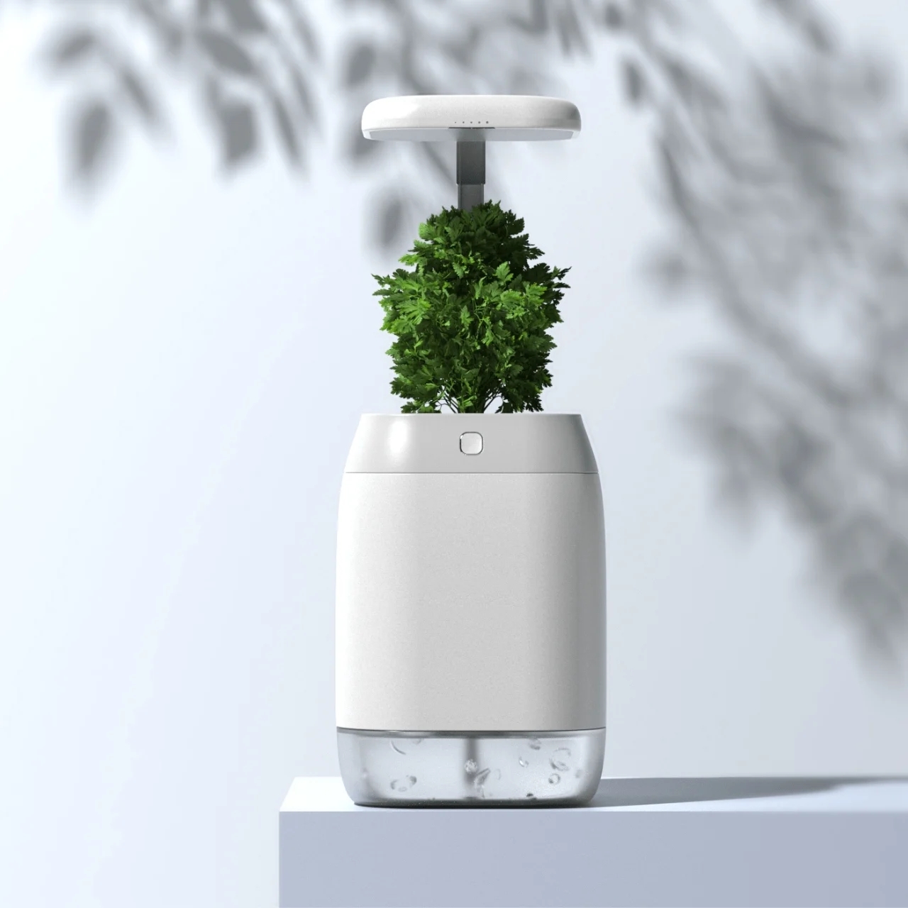 PLANT-GROWING，device，Plant growth device，Green plant，