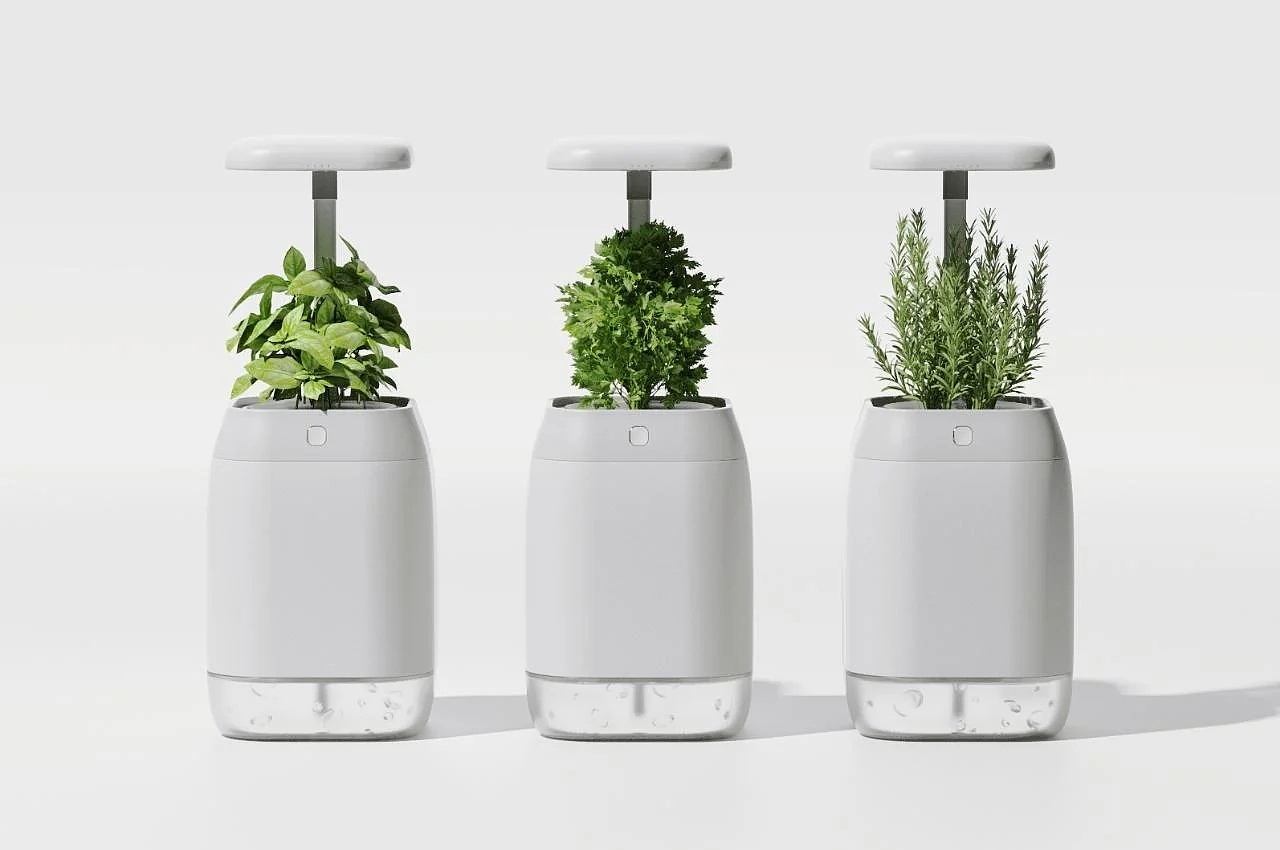 PLANT-GROWING，device，植物生长装置，绿植，