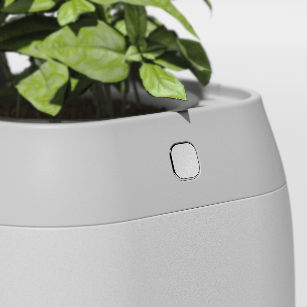 PLANT-GROWING，device，Plant growth device，Green plant，