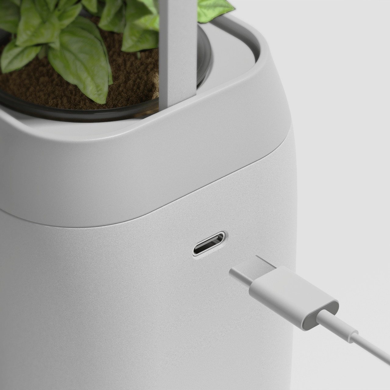 PLANT-GROWING，device，Plant growth device，Green plant，