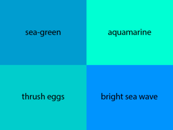 Goggles，Swimming，Enhanced picture，sketch，Model，