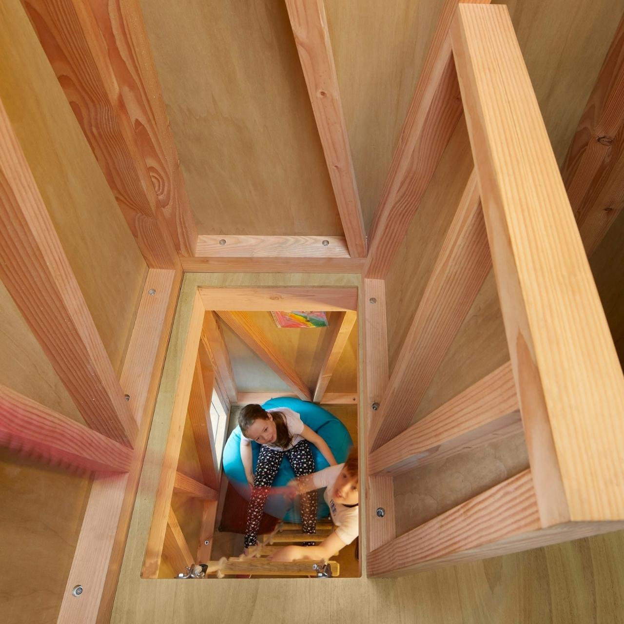 Tree House，tree，house，