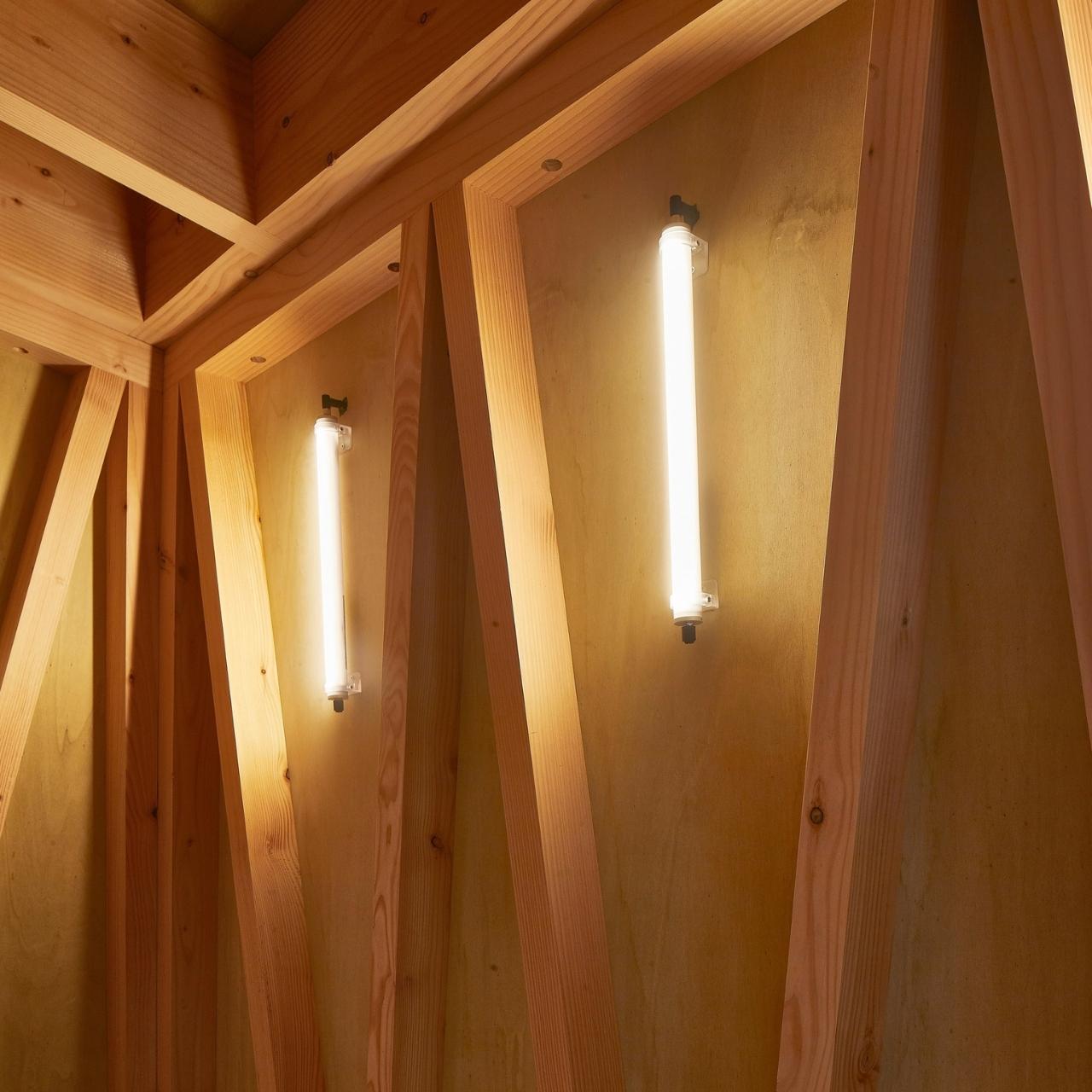 Tree House，tree，house，