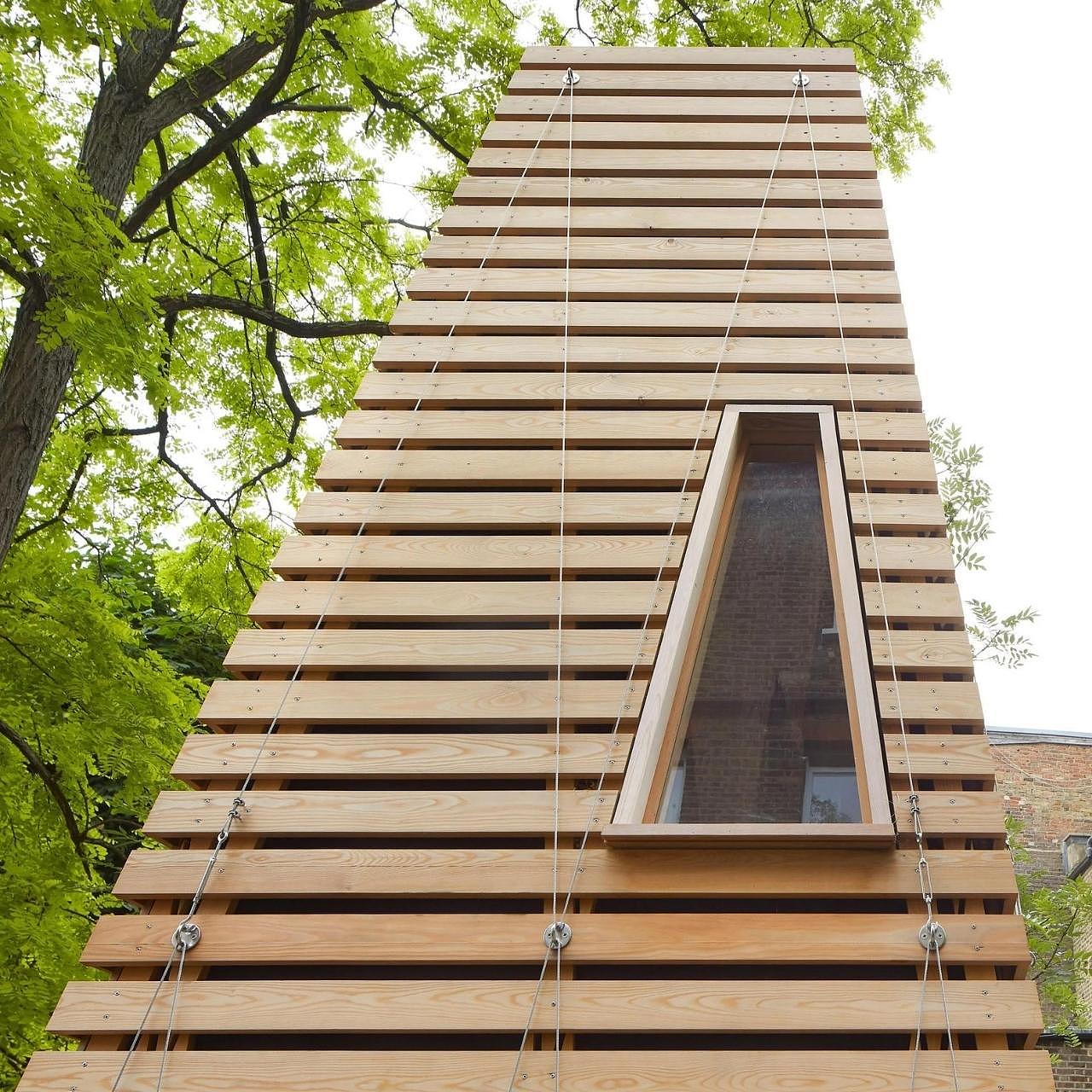 Tree House，tree，house，