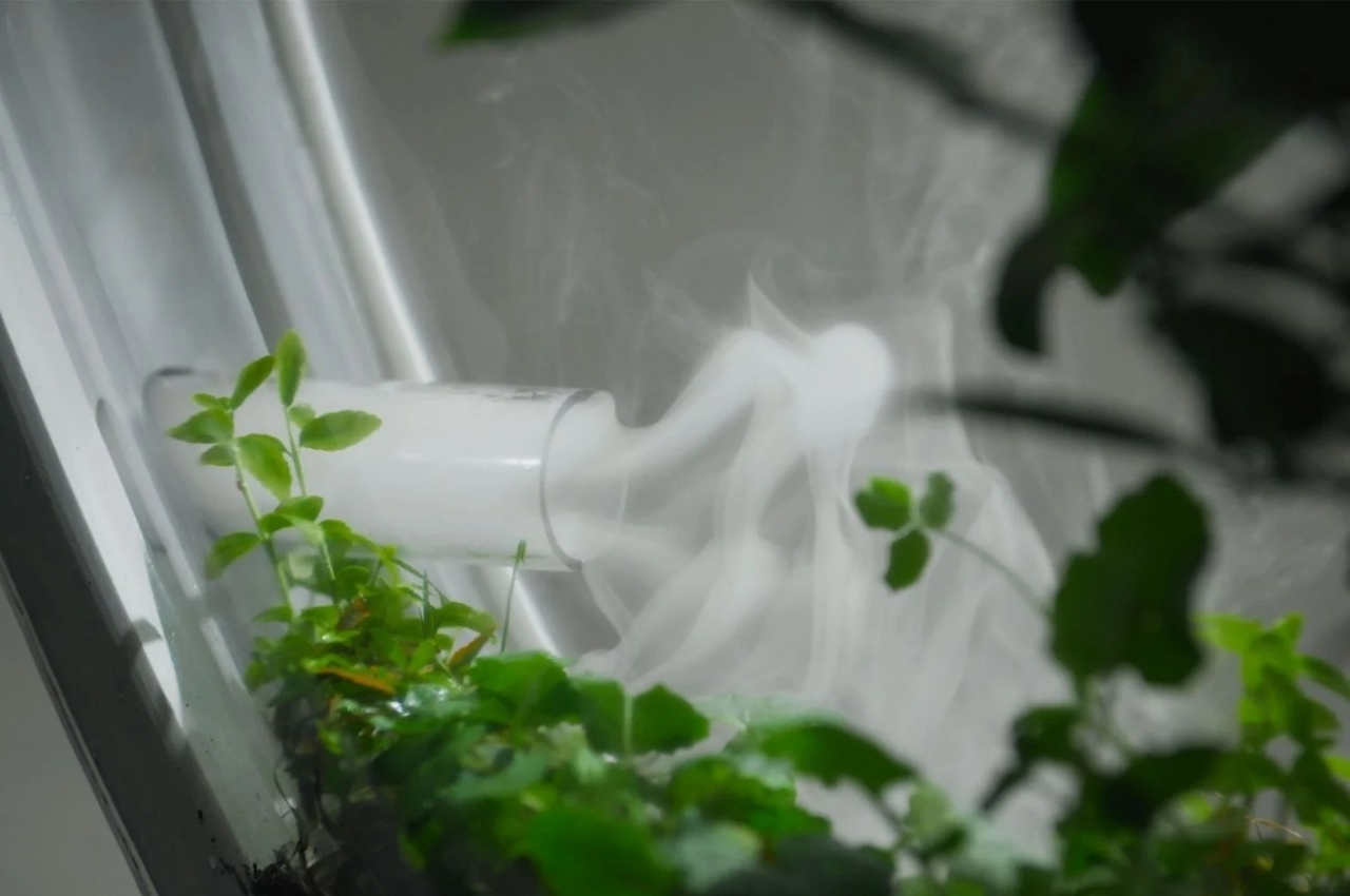 Calculator，internet，carbon dioxide，