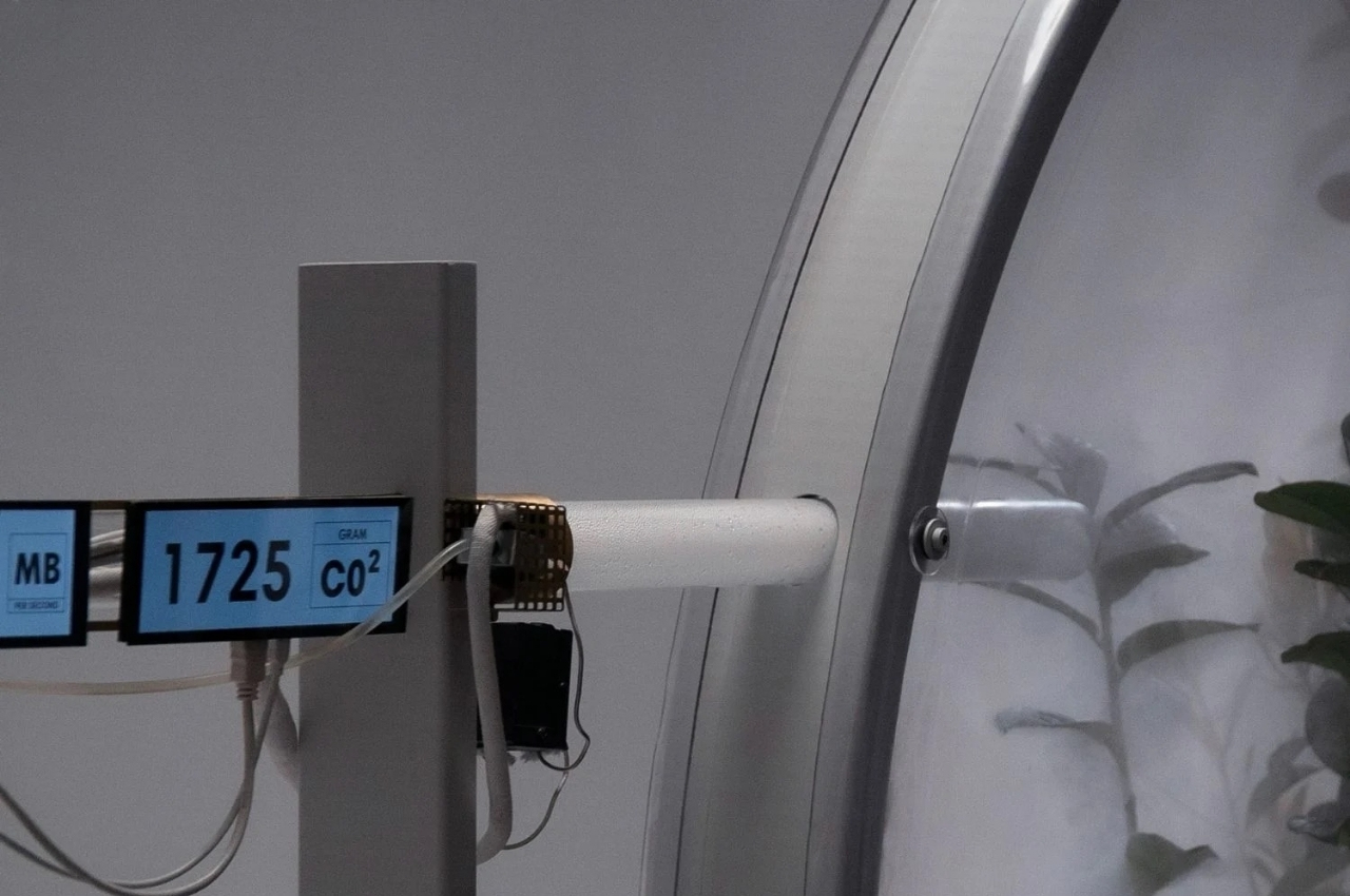 Calculator，internet，carbon dioxide，