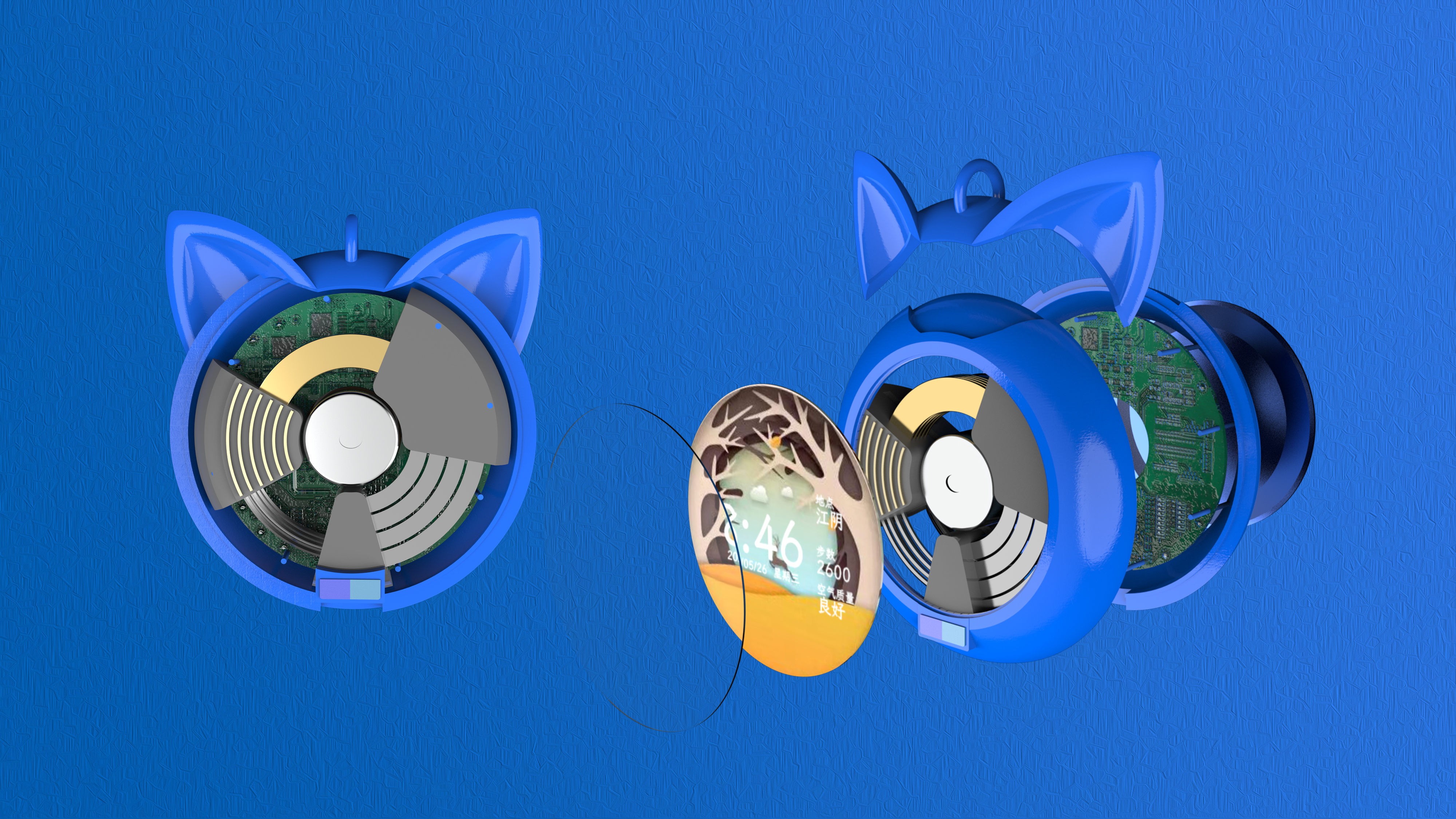 Newcomer/internship/job search/correction，