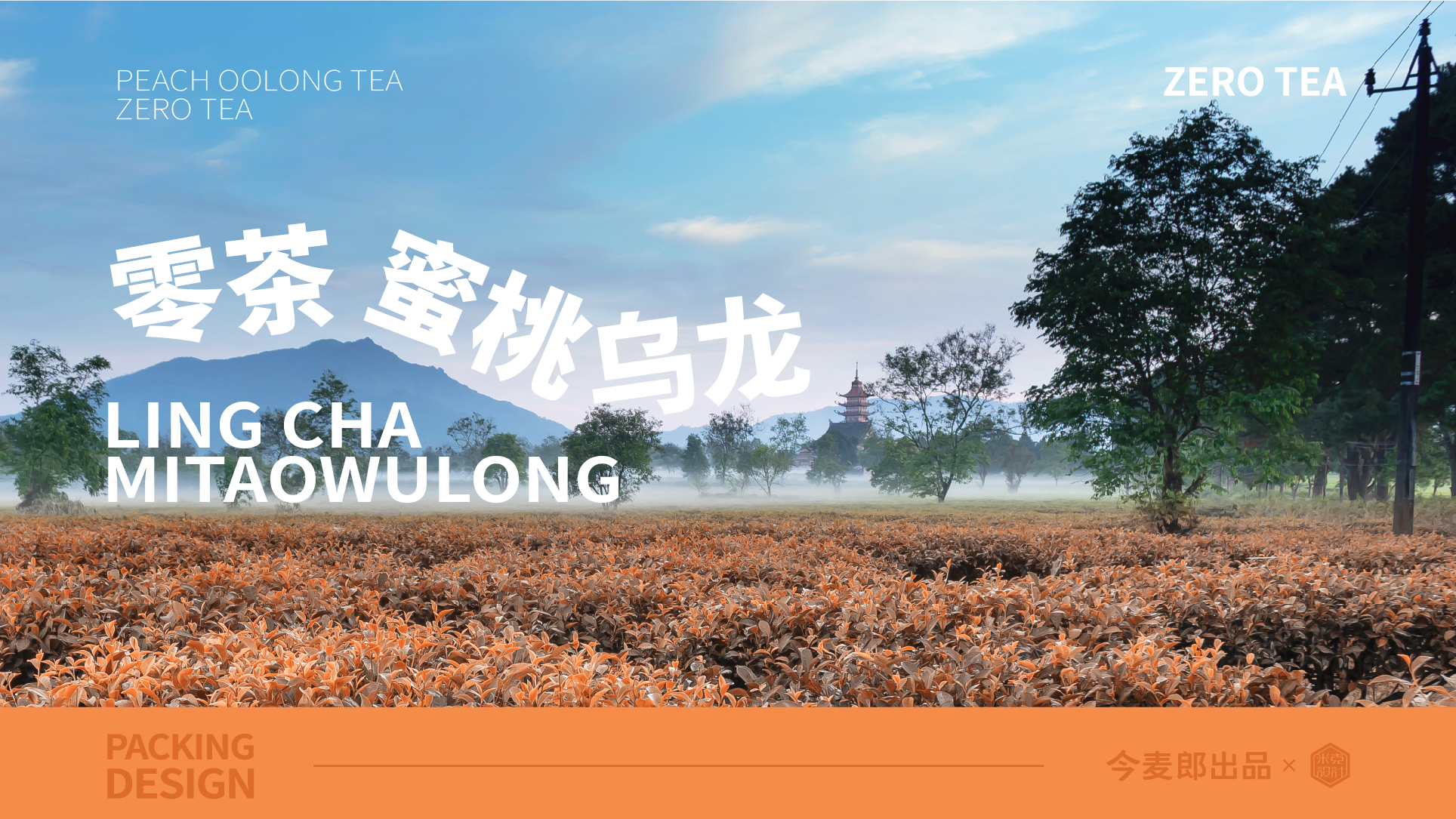 Bottle design，Packaging technology，packing design，3D rendering，Bottle logo design，